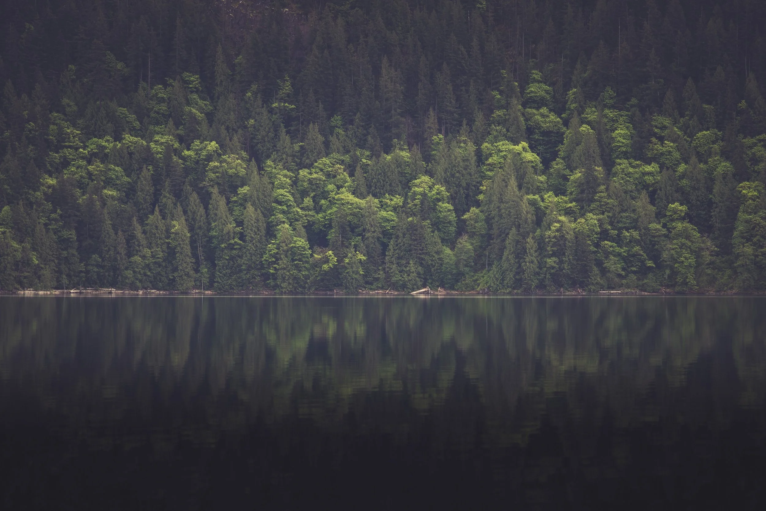 Golden Ears