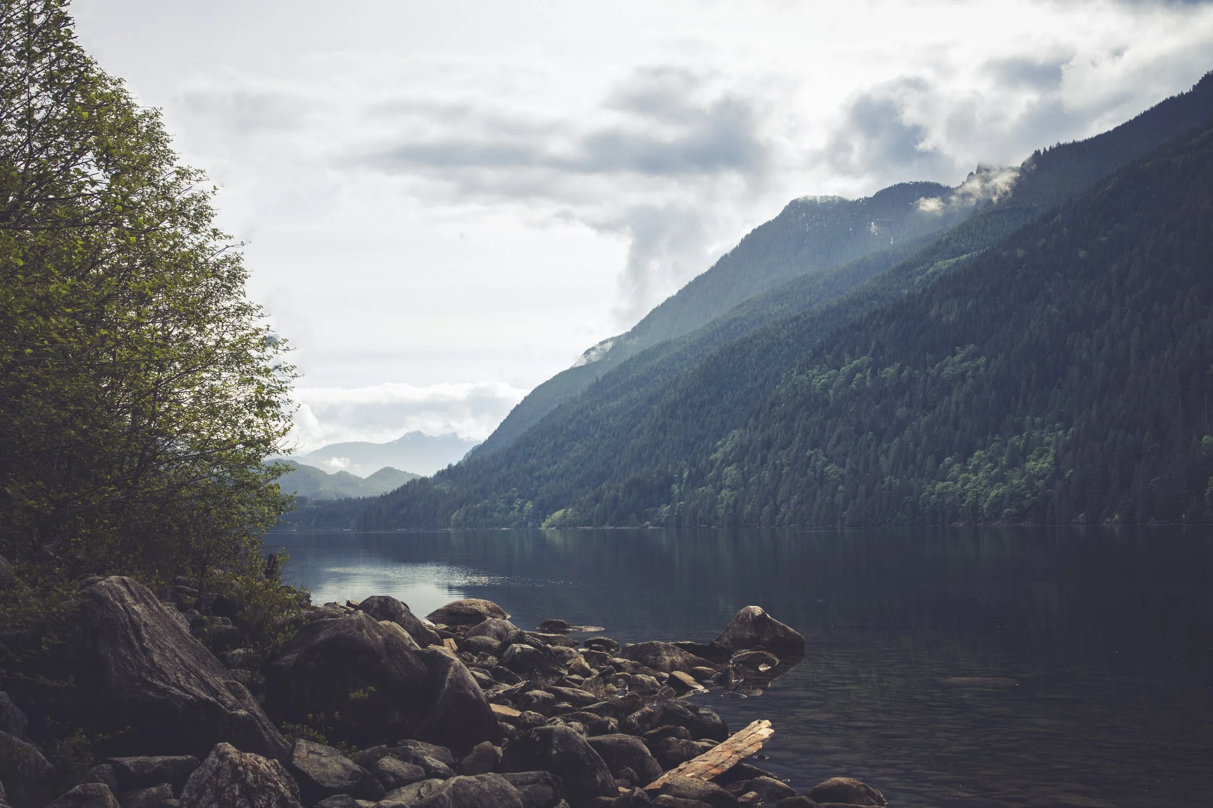 Golden Ears