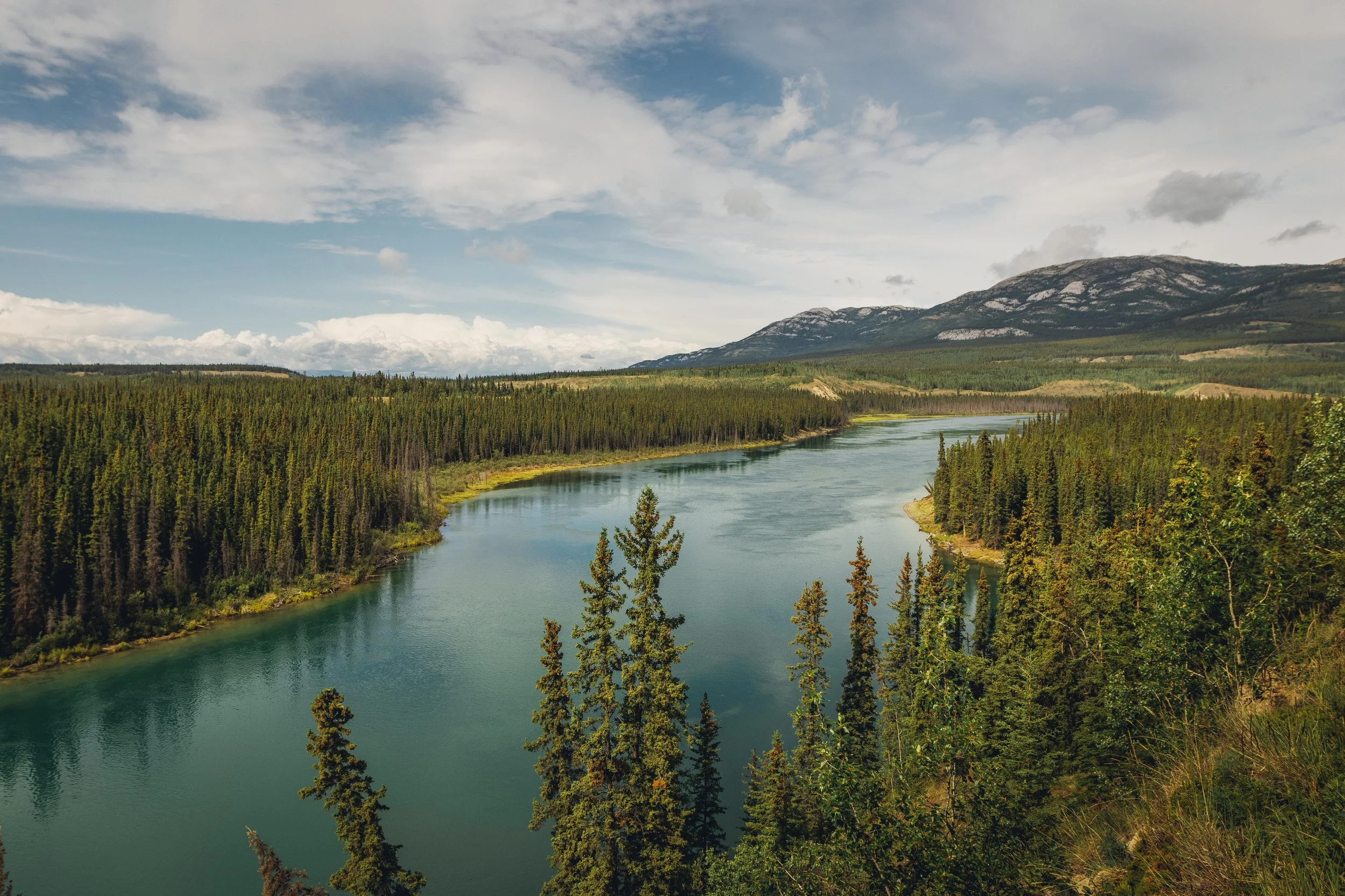 Whitehorse