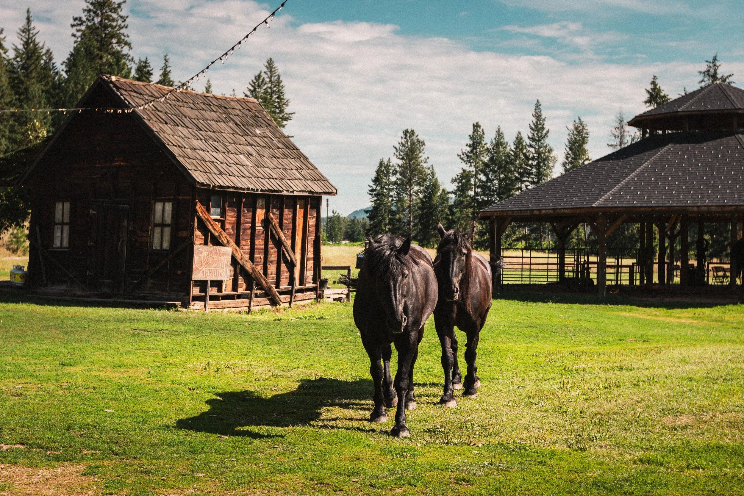Caravan Farm Theatre
