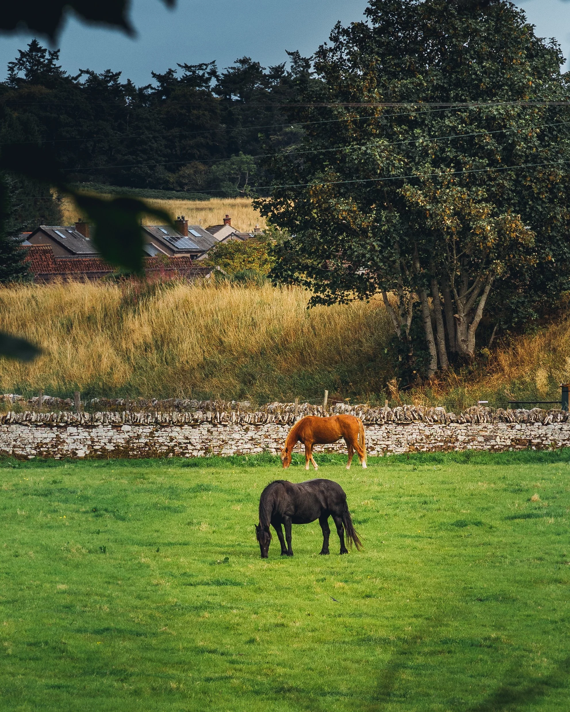 Golspie, Scotland