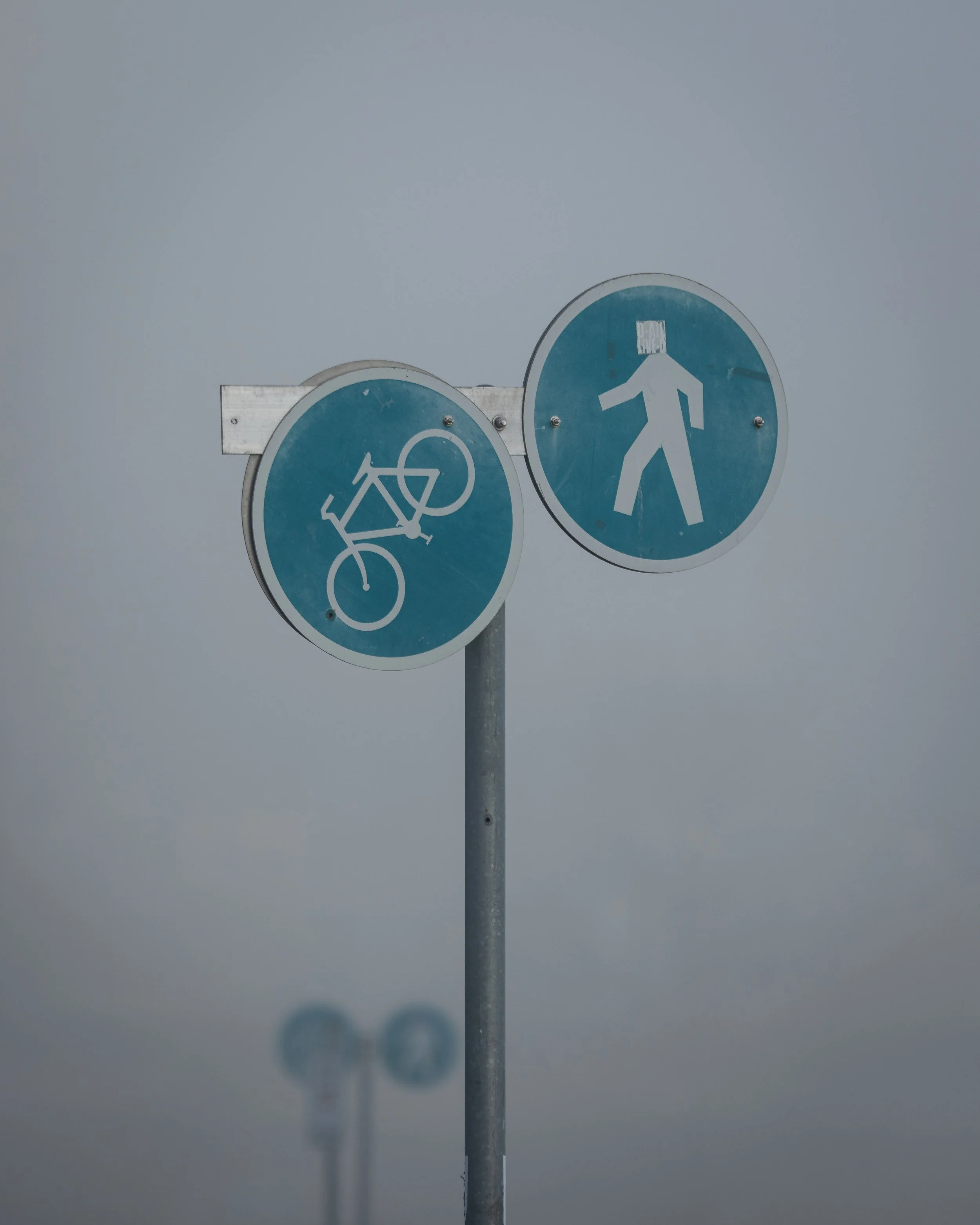 Jan 19 Foggy walk-5.jpg