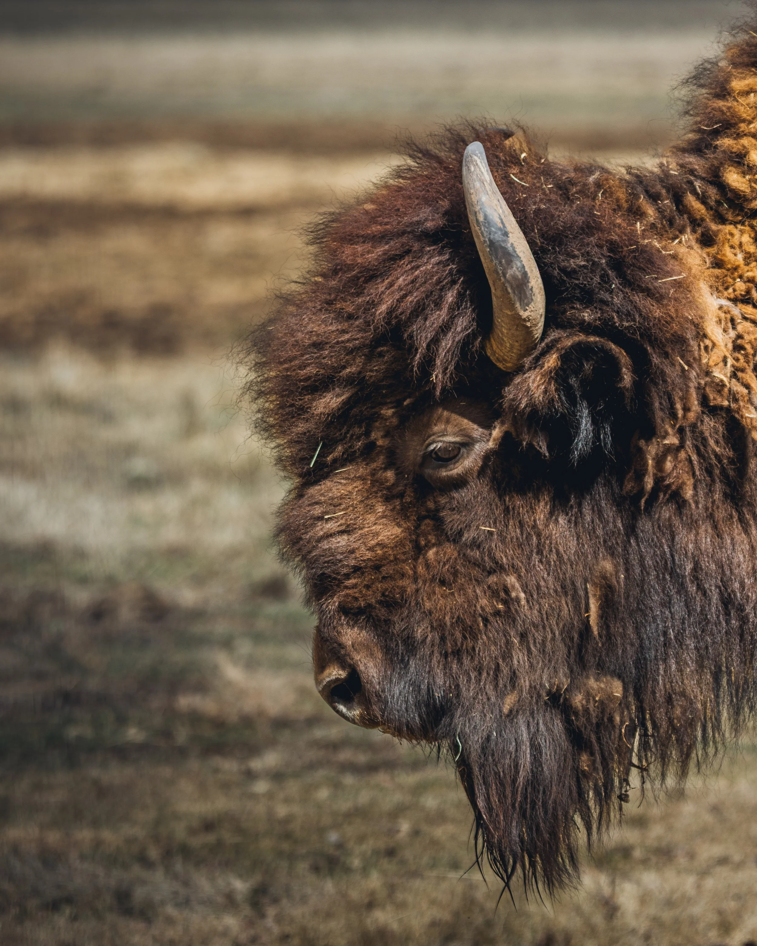 May 10 Wildlife Preserve-6.jpg