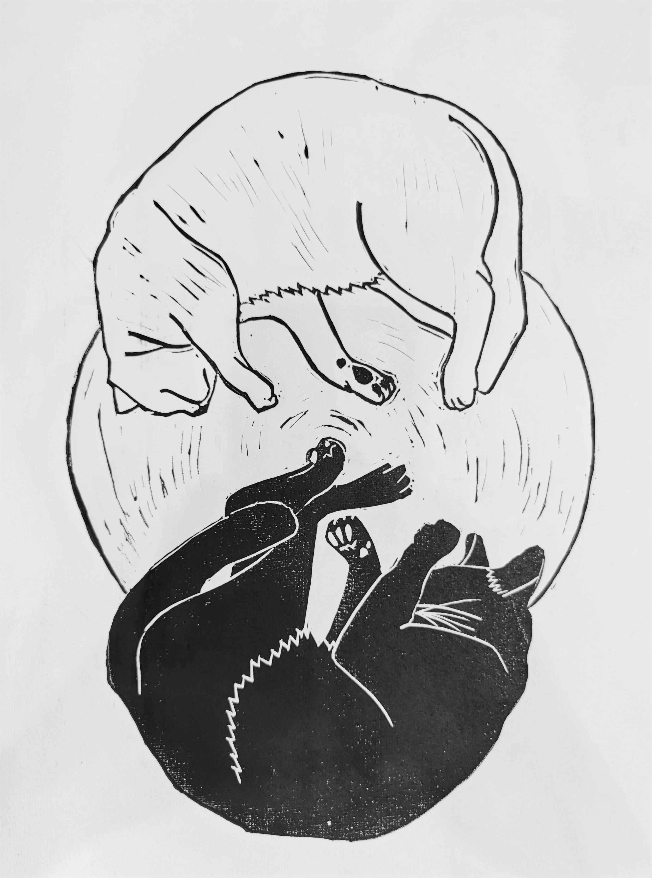 Du är min bästa vän