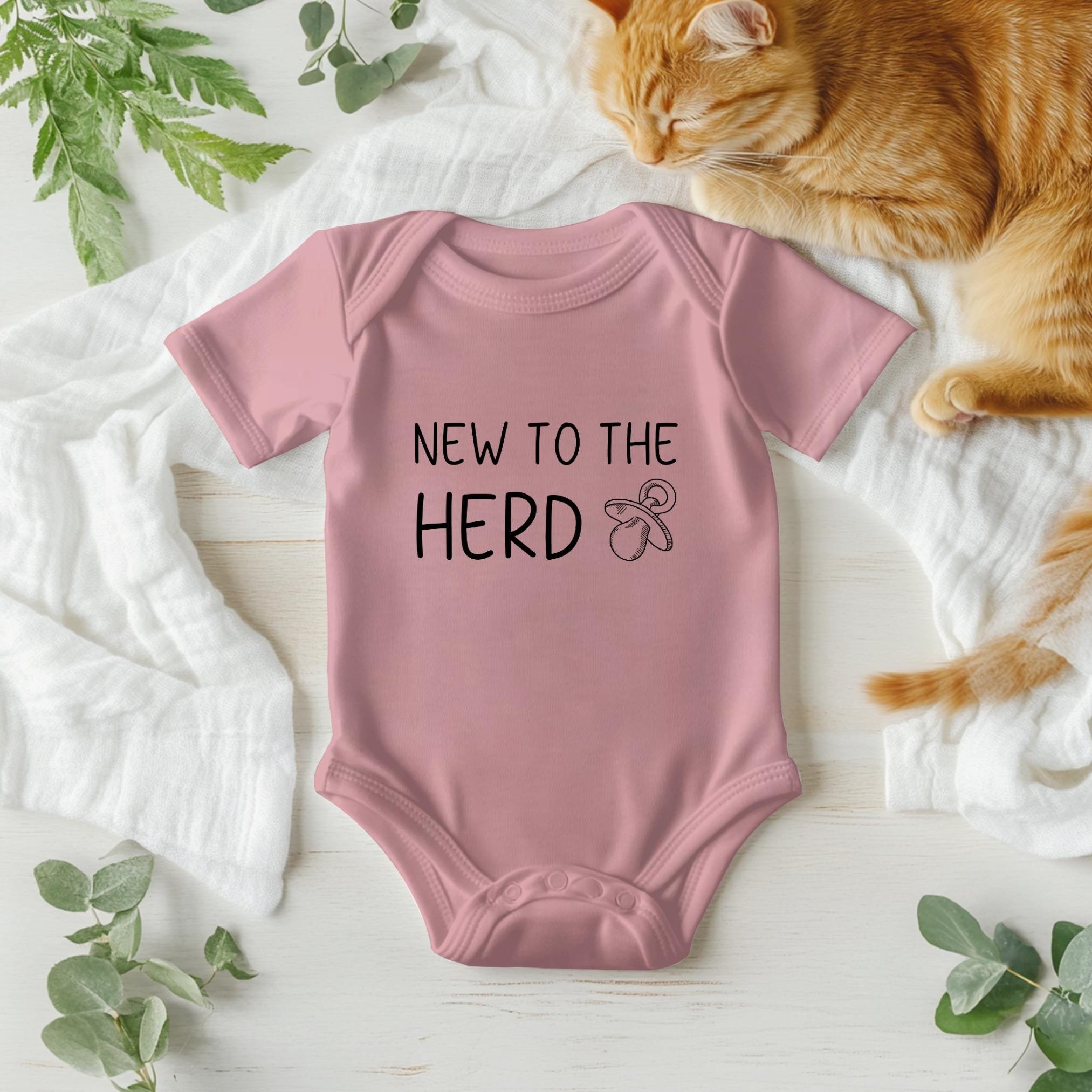 https://i.etsystatic.com/46277481/r/il/997801/6448780231/il_fullxfull.6448780231_m4ce.jpg