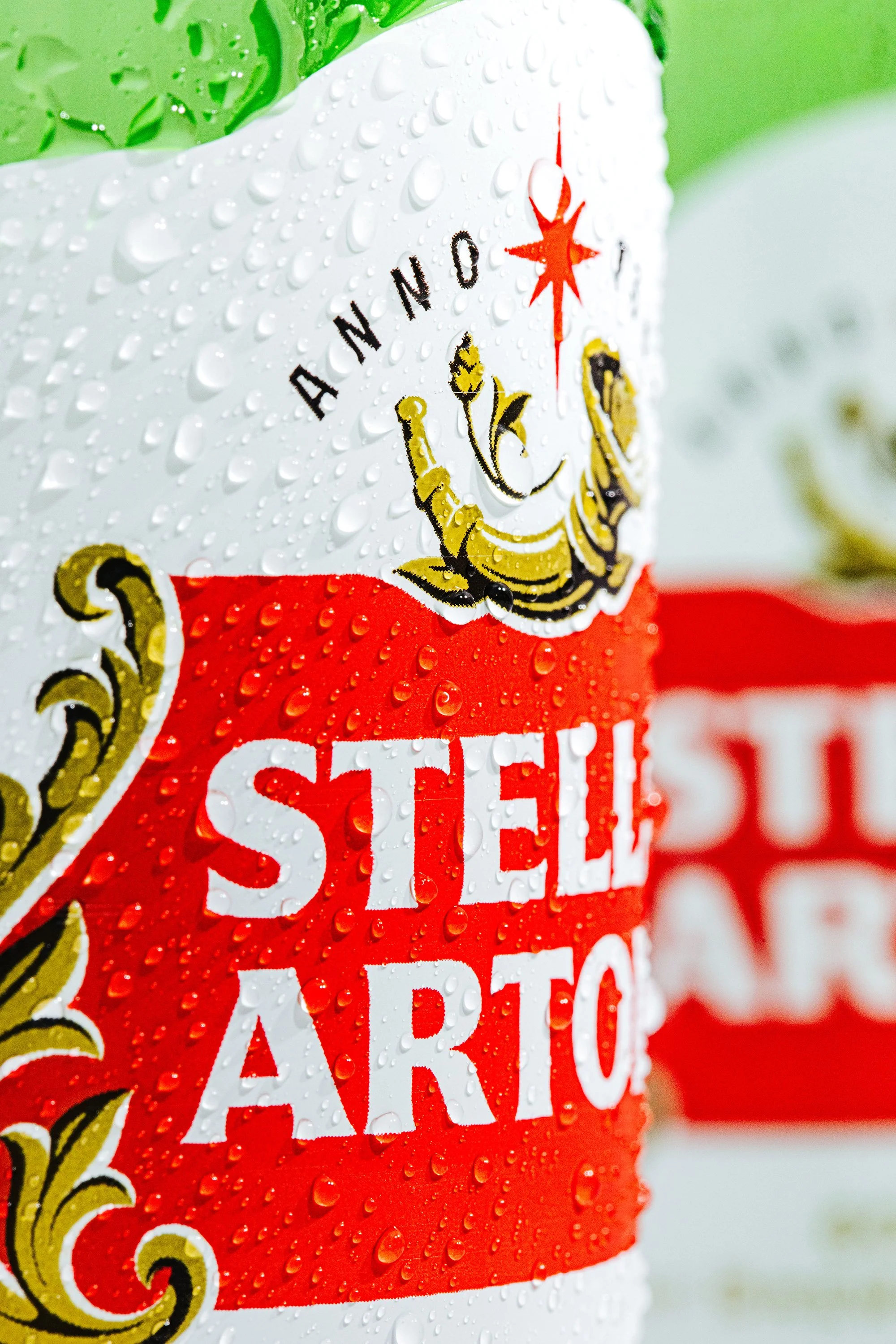 523A8961_Web Version.jpg