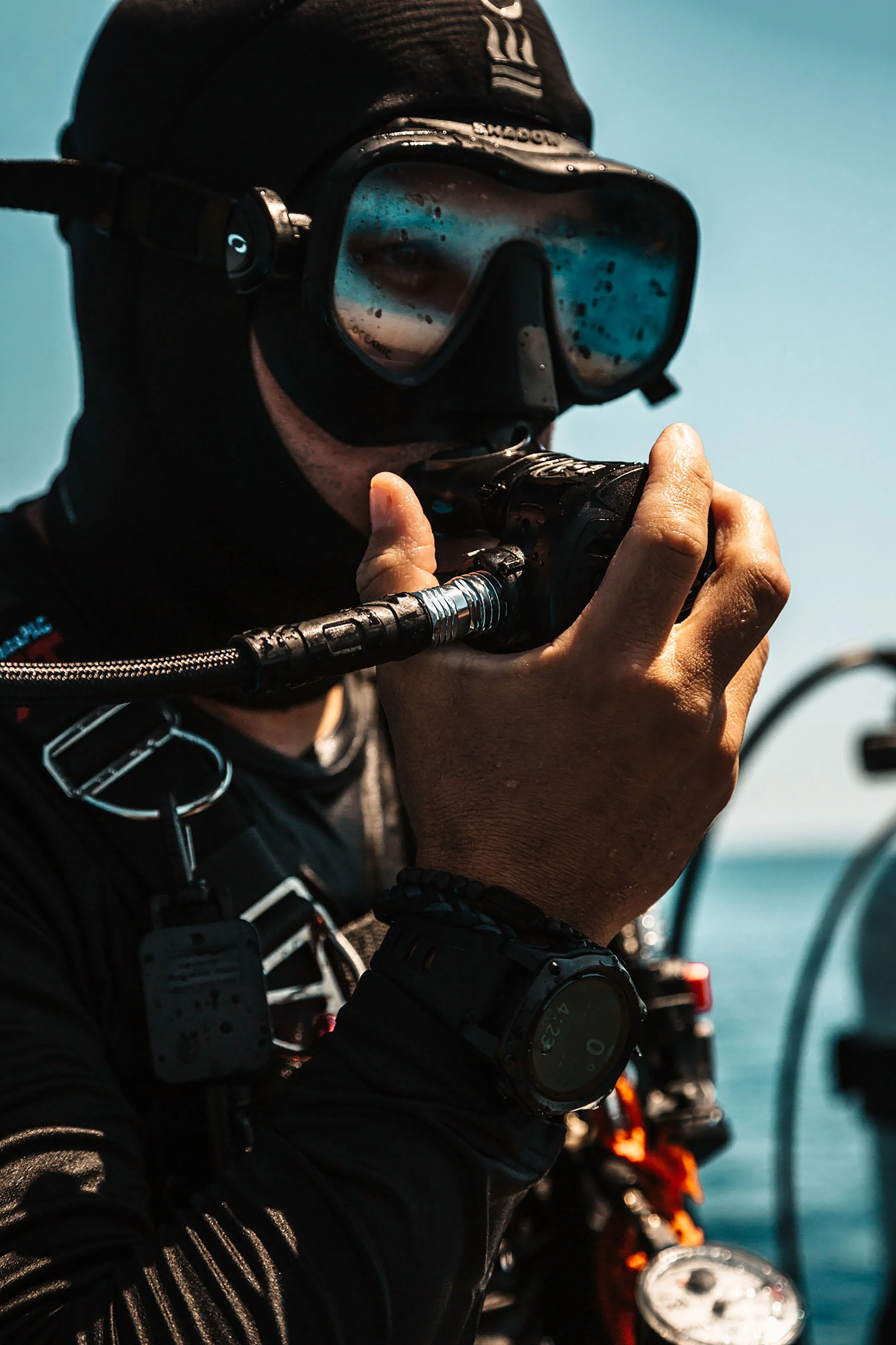 Shearwater Aug 51.jpg