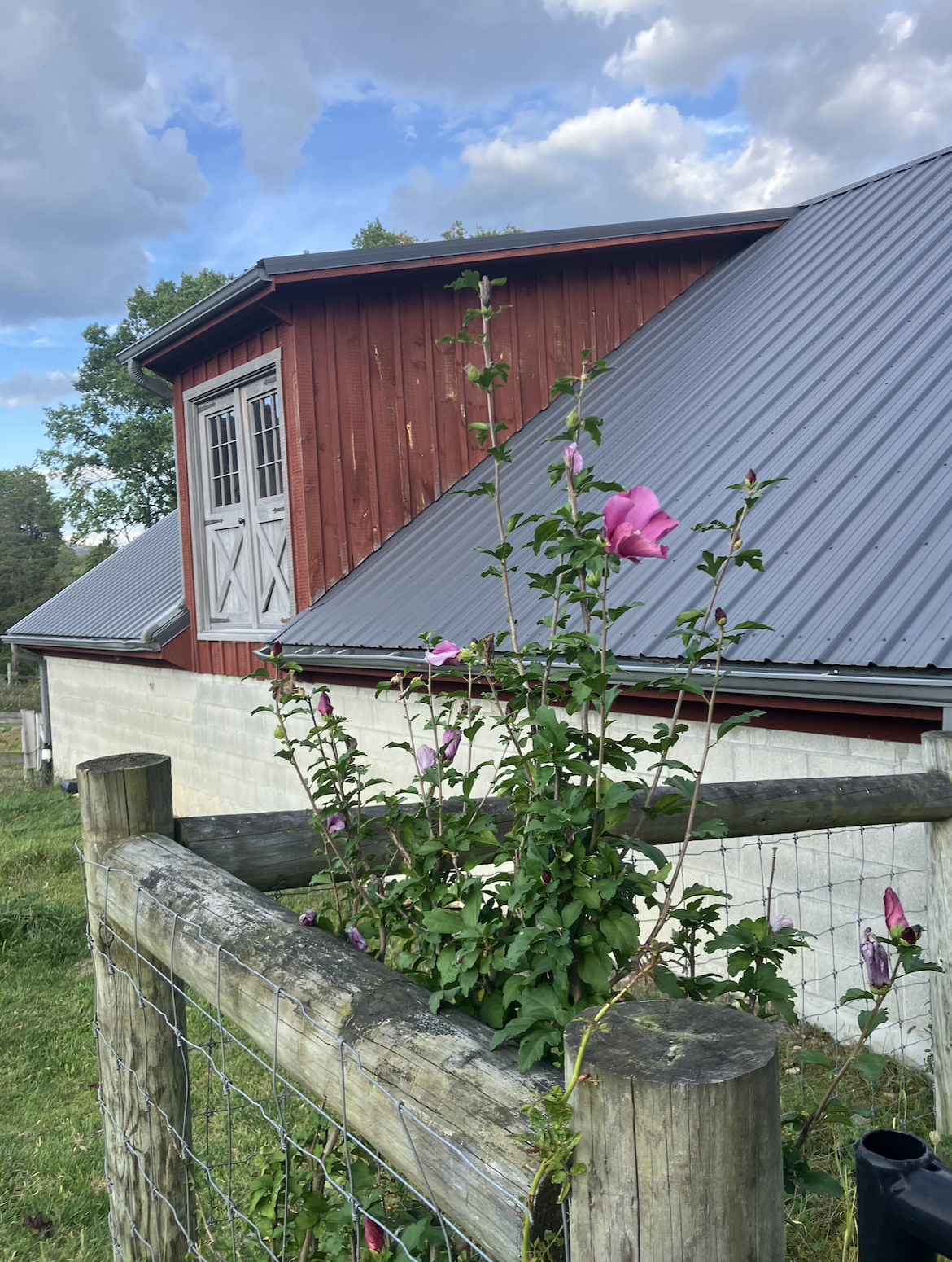 Screenshot 2025-09-25 at 8.11.45 AM.png