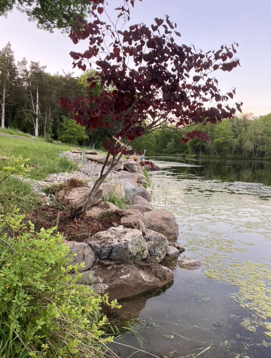 Screenshot 2025-03-14 at 5.24.01 PM.png