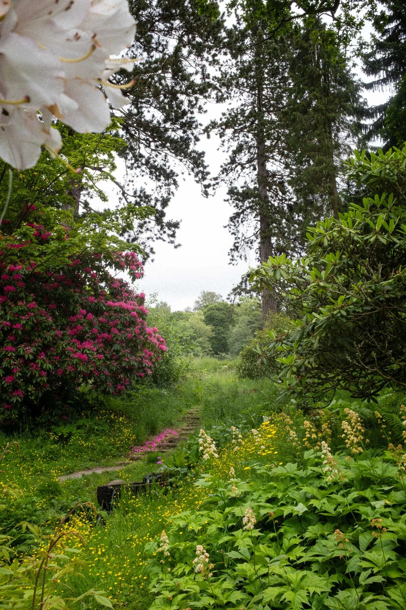 Gardens