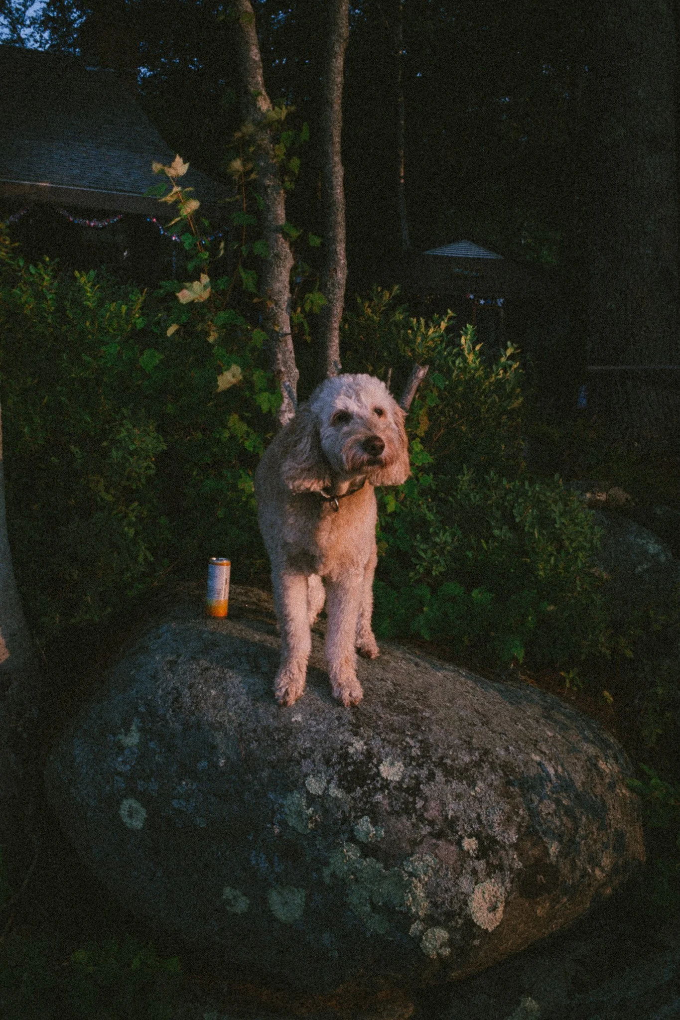 DSCF1912.jpg