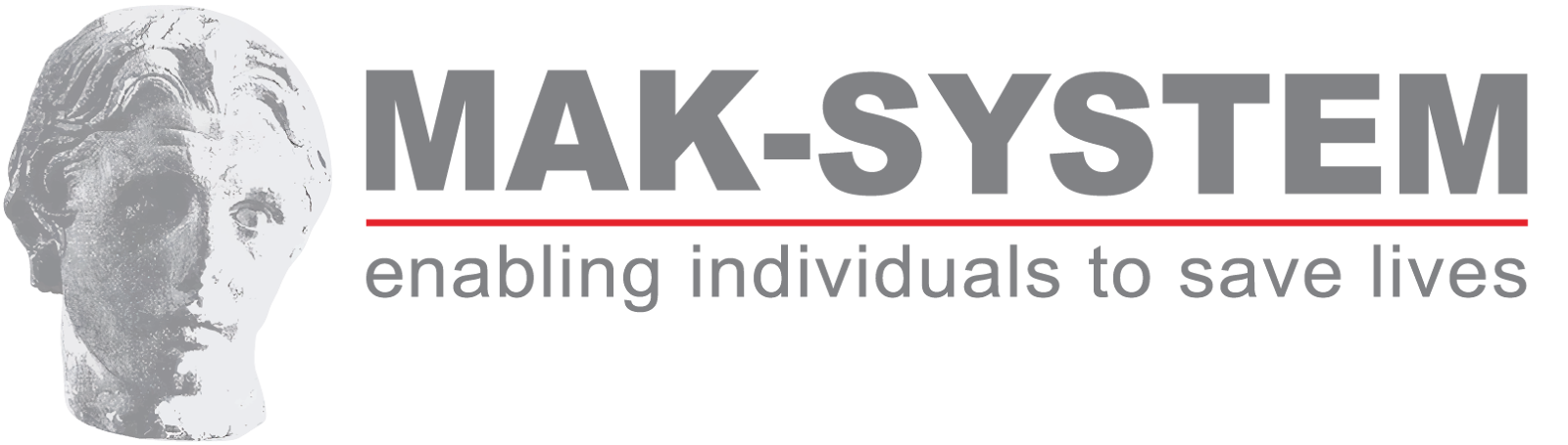 mak-system logo.png