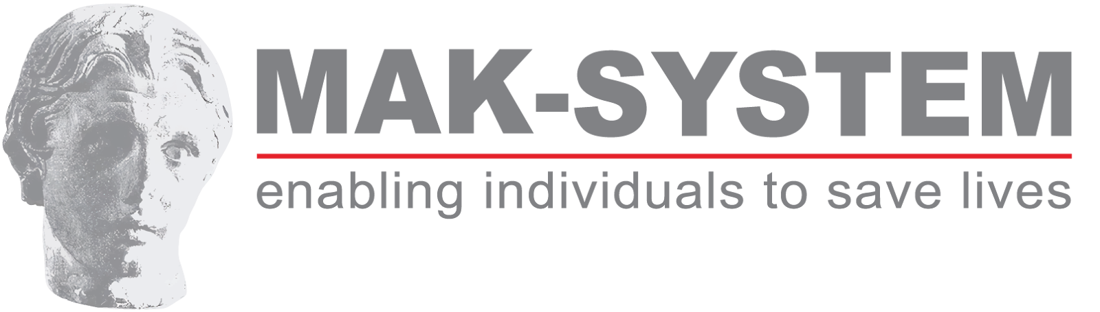 mak-system logo.png