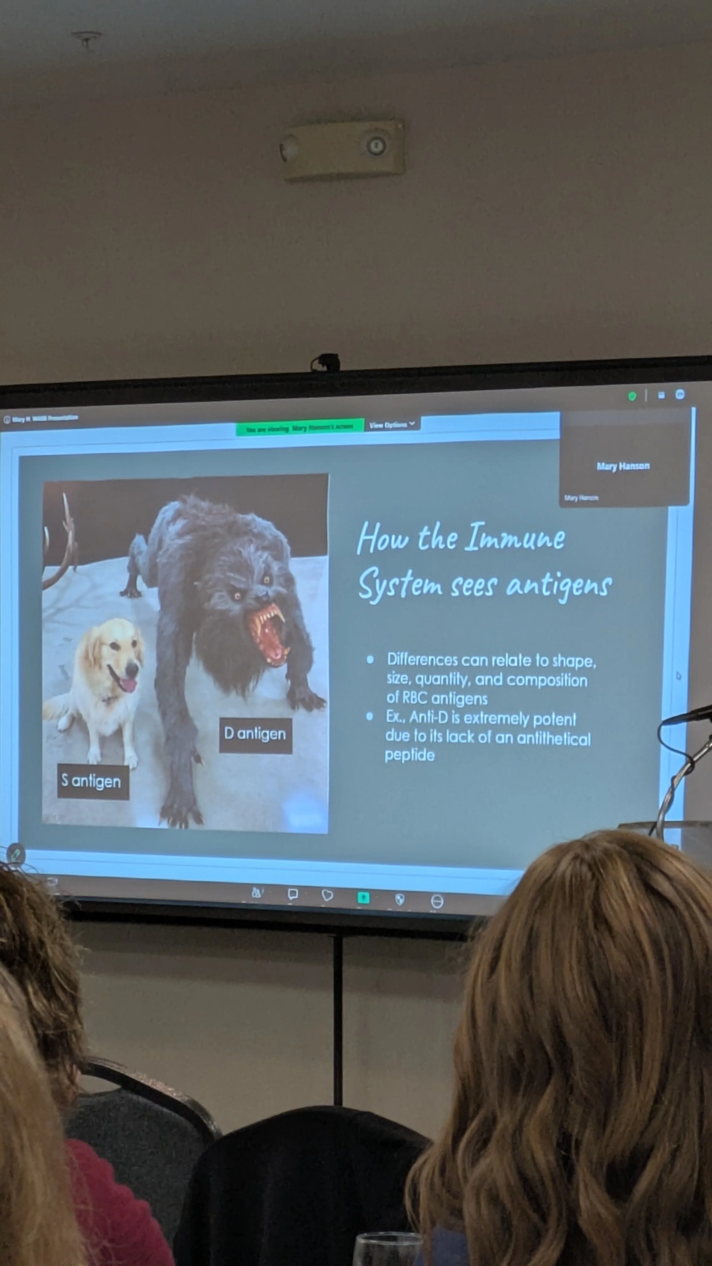 Anti-D vs Anti-S in animal form.jpg