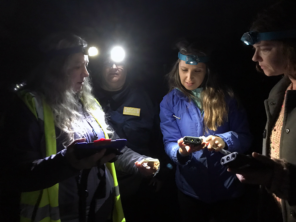 Late Evening Bat Walk