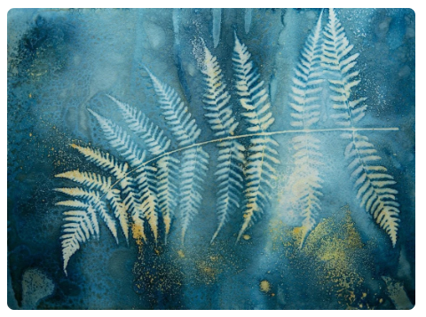 Cyanotype Printing