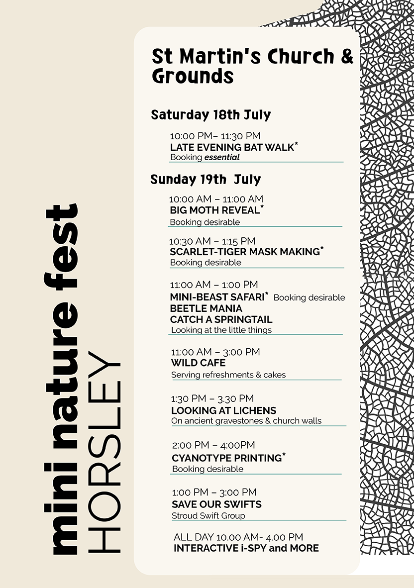 horsley mini nature fest poster