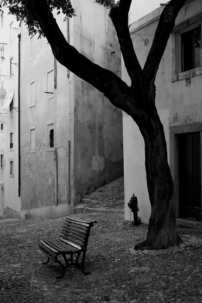 844600_657b7fc4441b44d28f292ebb9e8539d4~mv2_d_3648_5472_s_4_2 copy.jpg