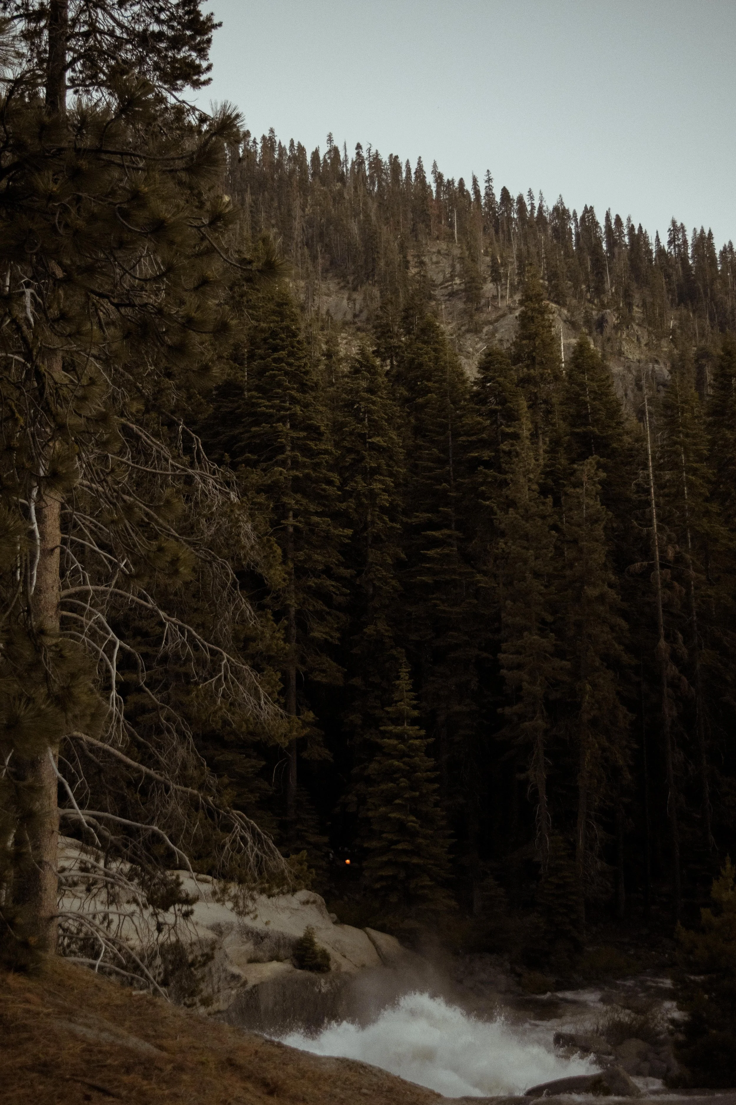 DSC_0248-2.jpg