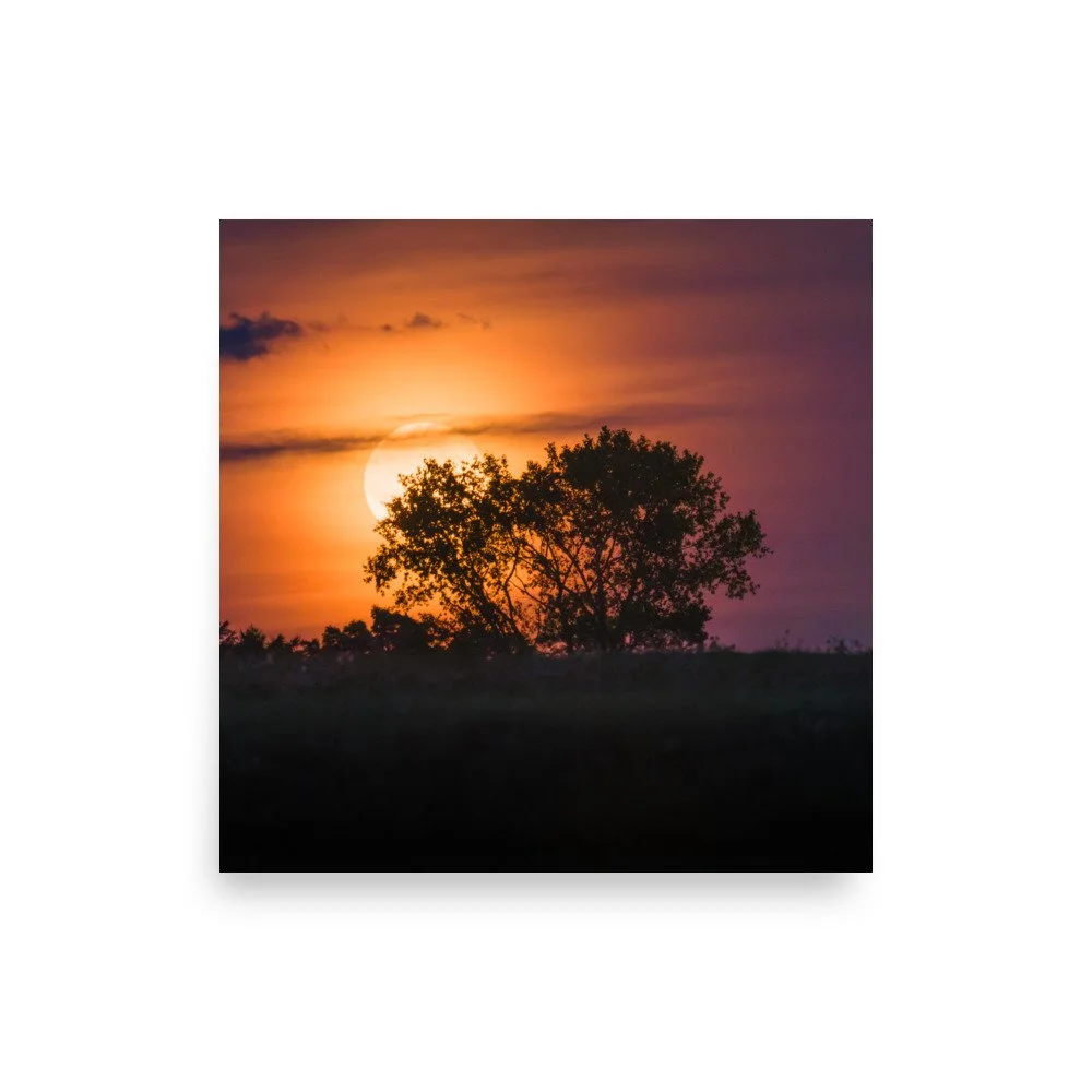 premium-luster-photo-paper-poster-(in)-18x18-front-672e97f37ad59.jpg