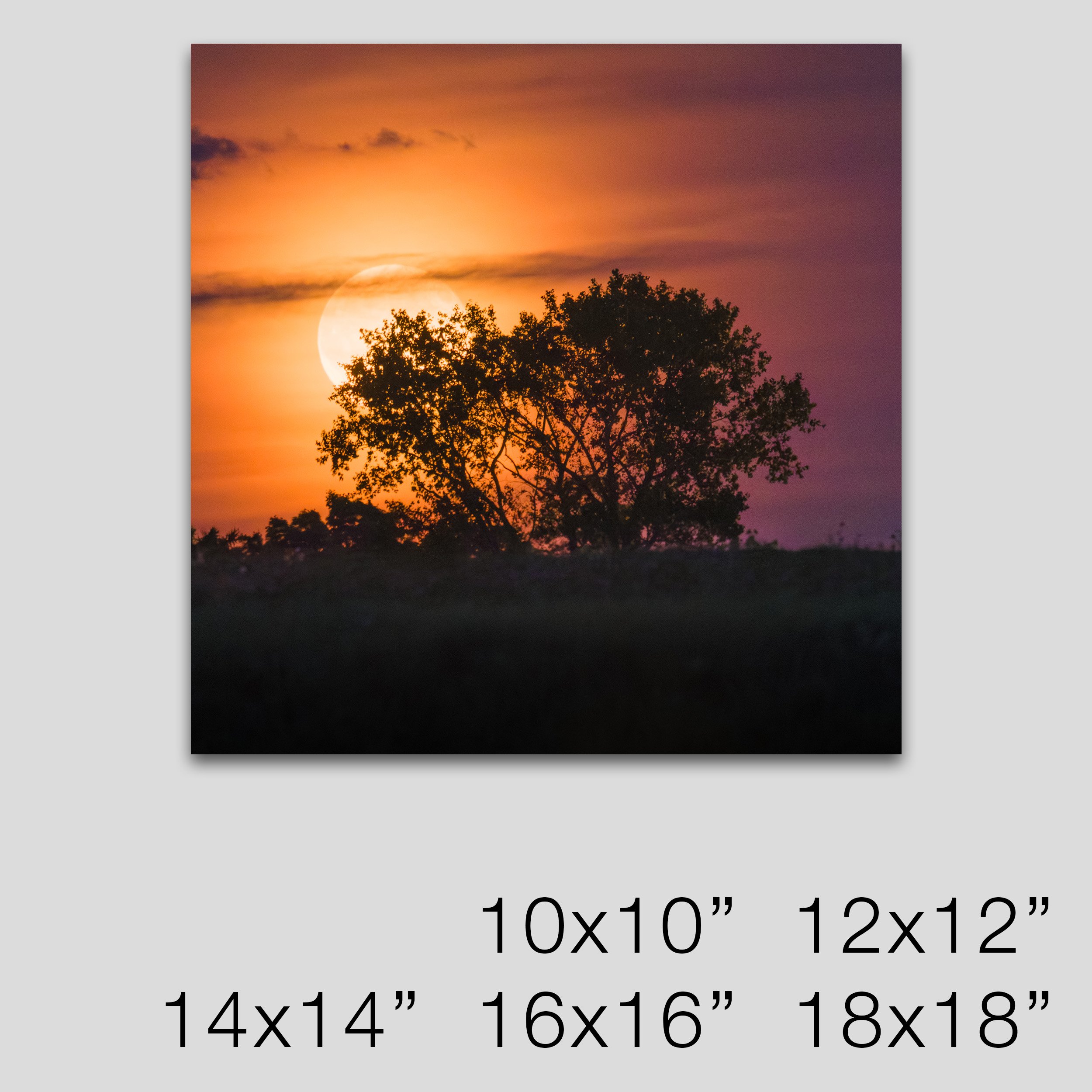 Moonrise III - 1x1.jpg