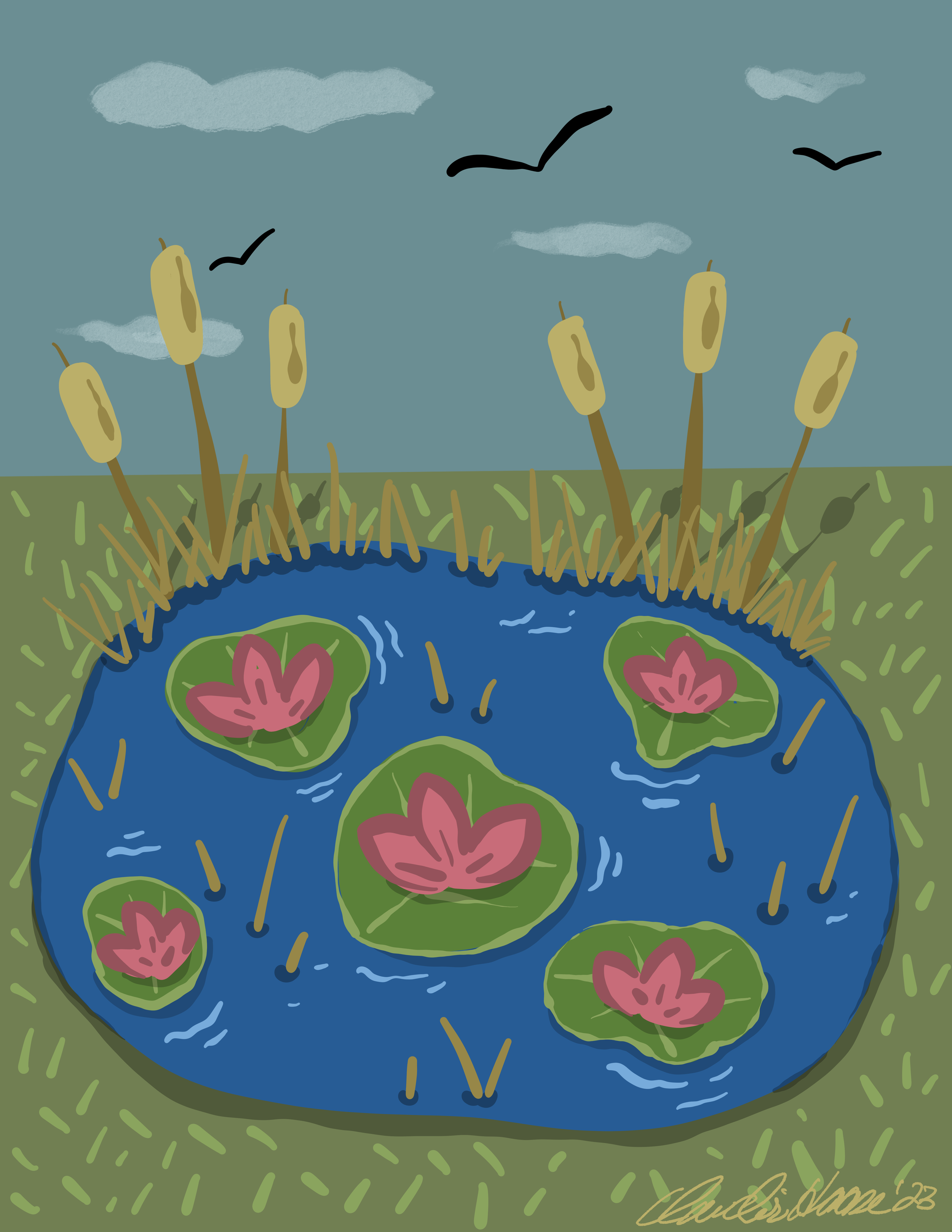 27. Pond