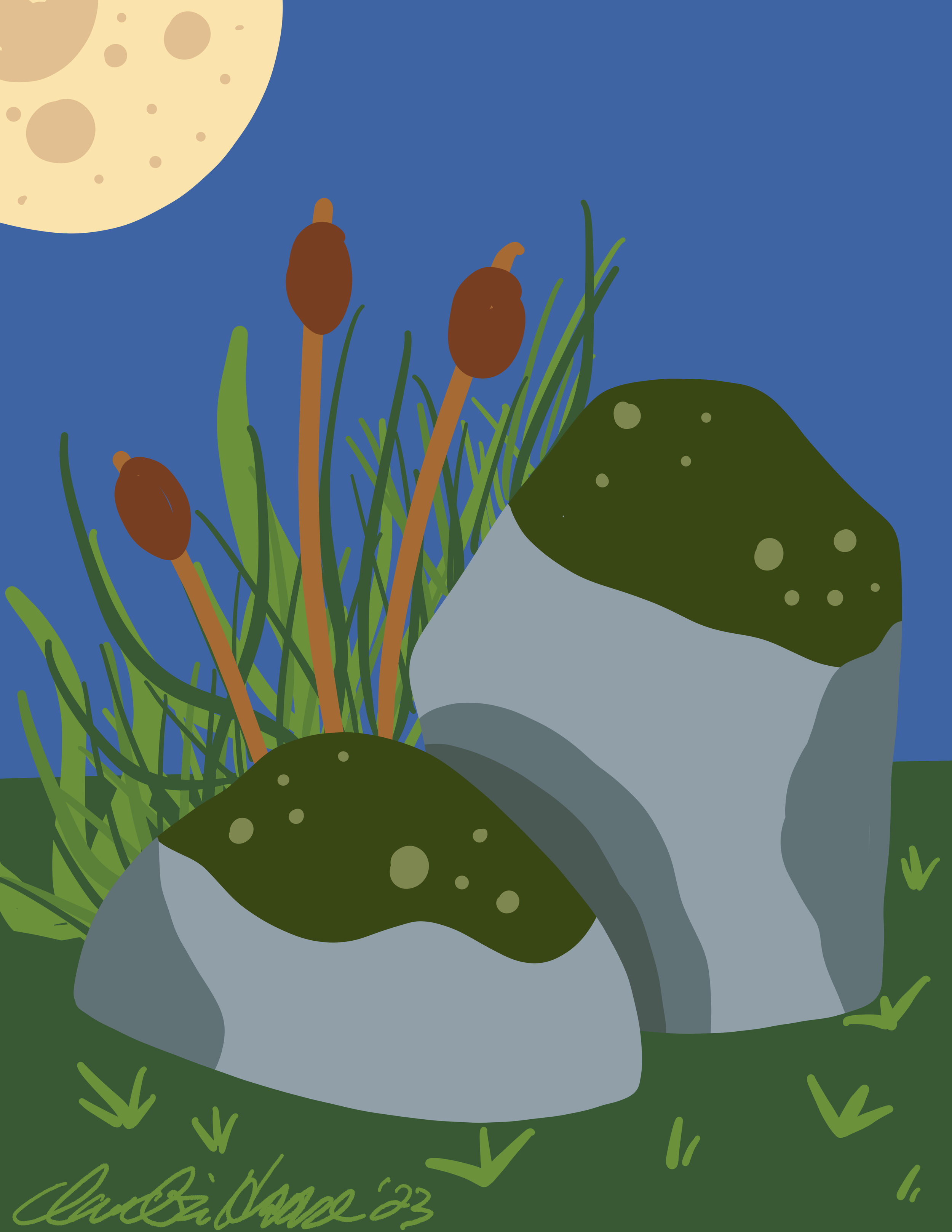 30. Moss