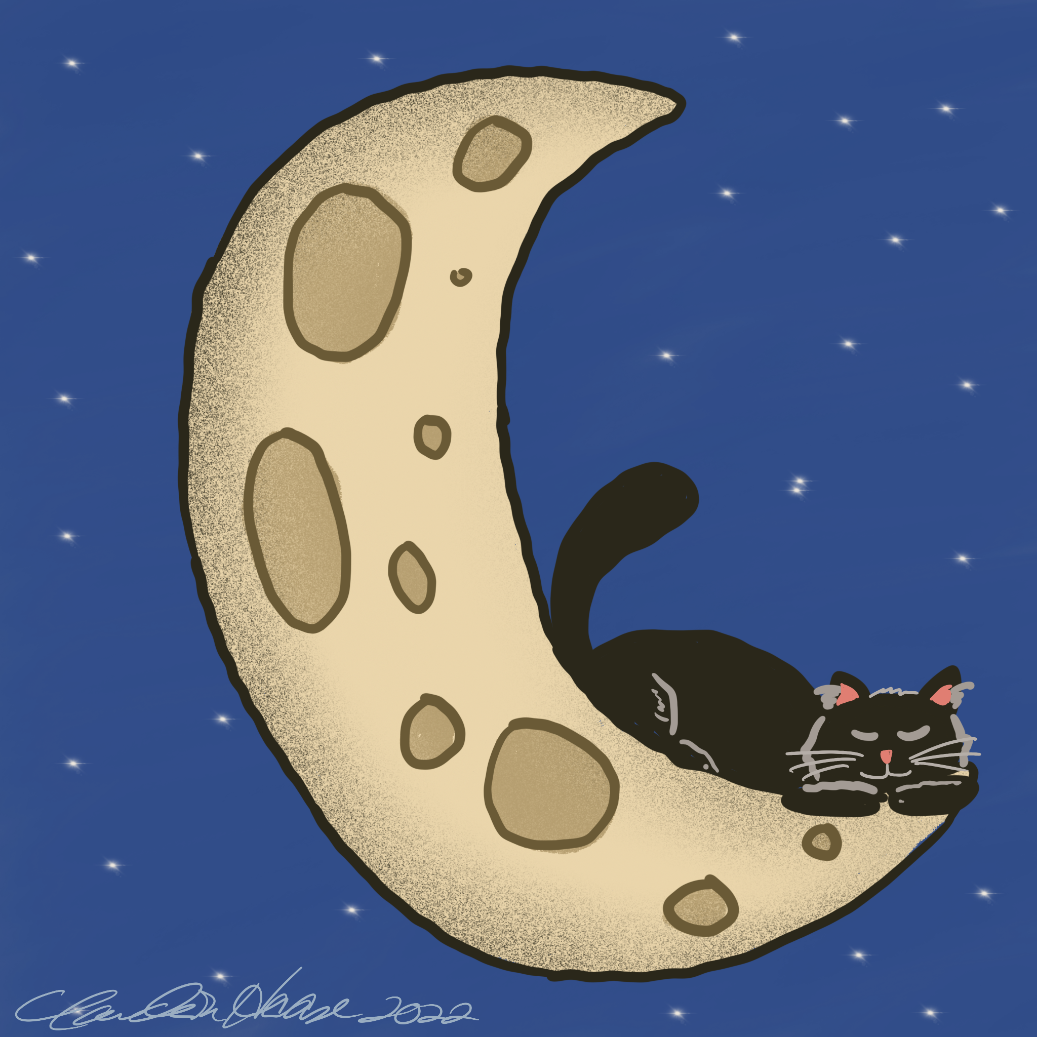 17. Nocturnal