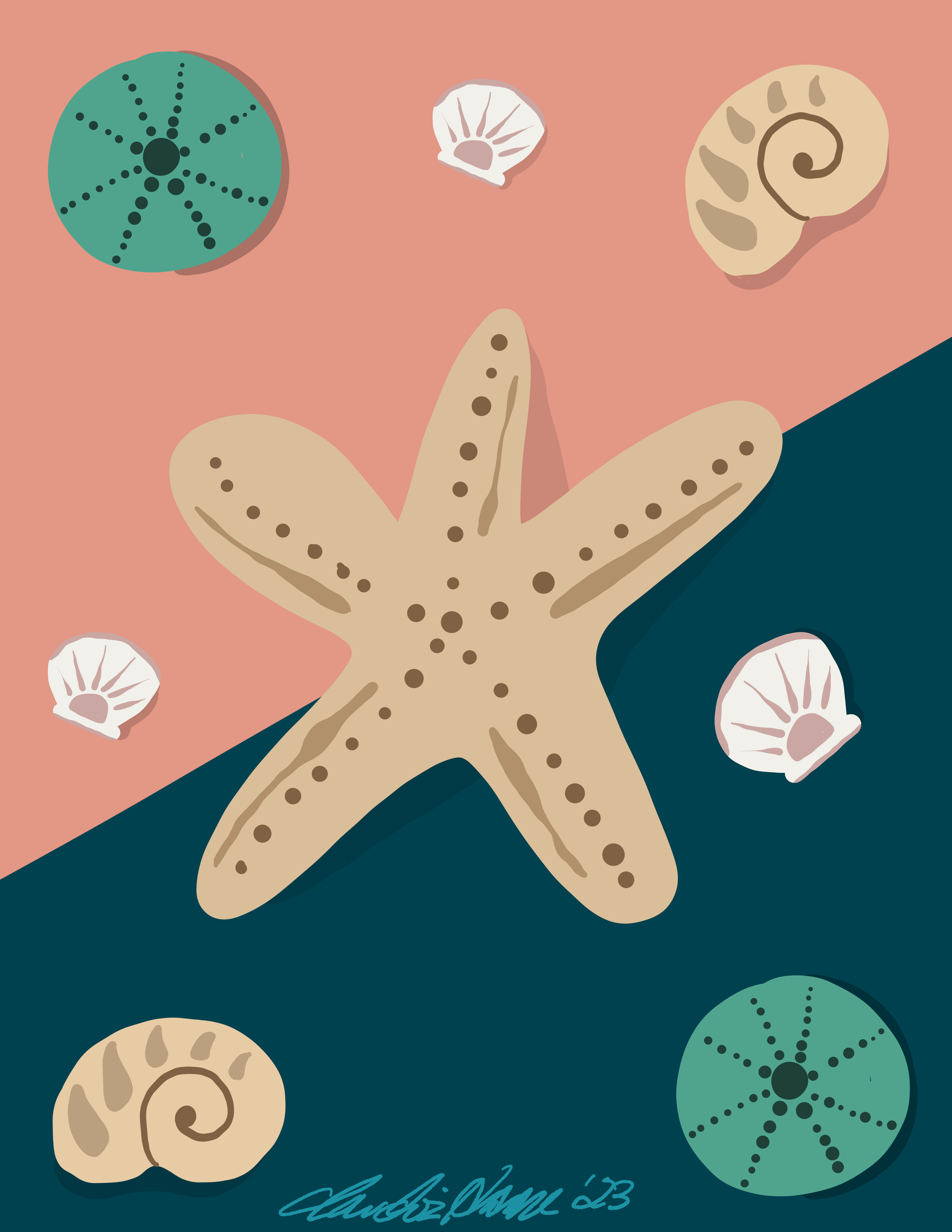 25. Coral