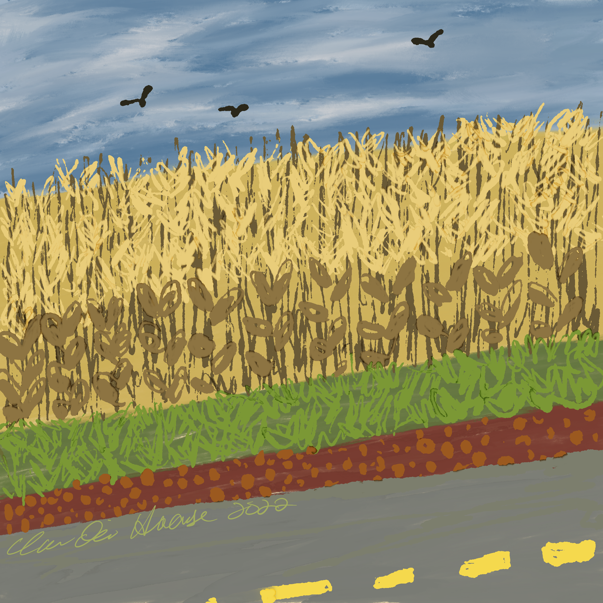 14. Field