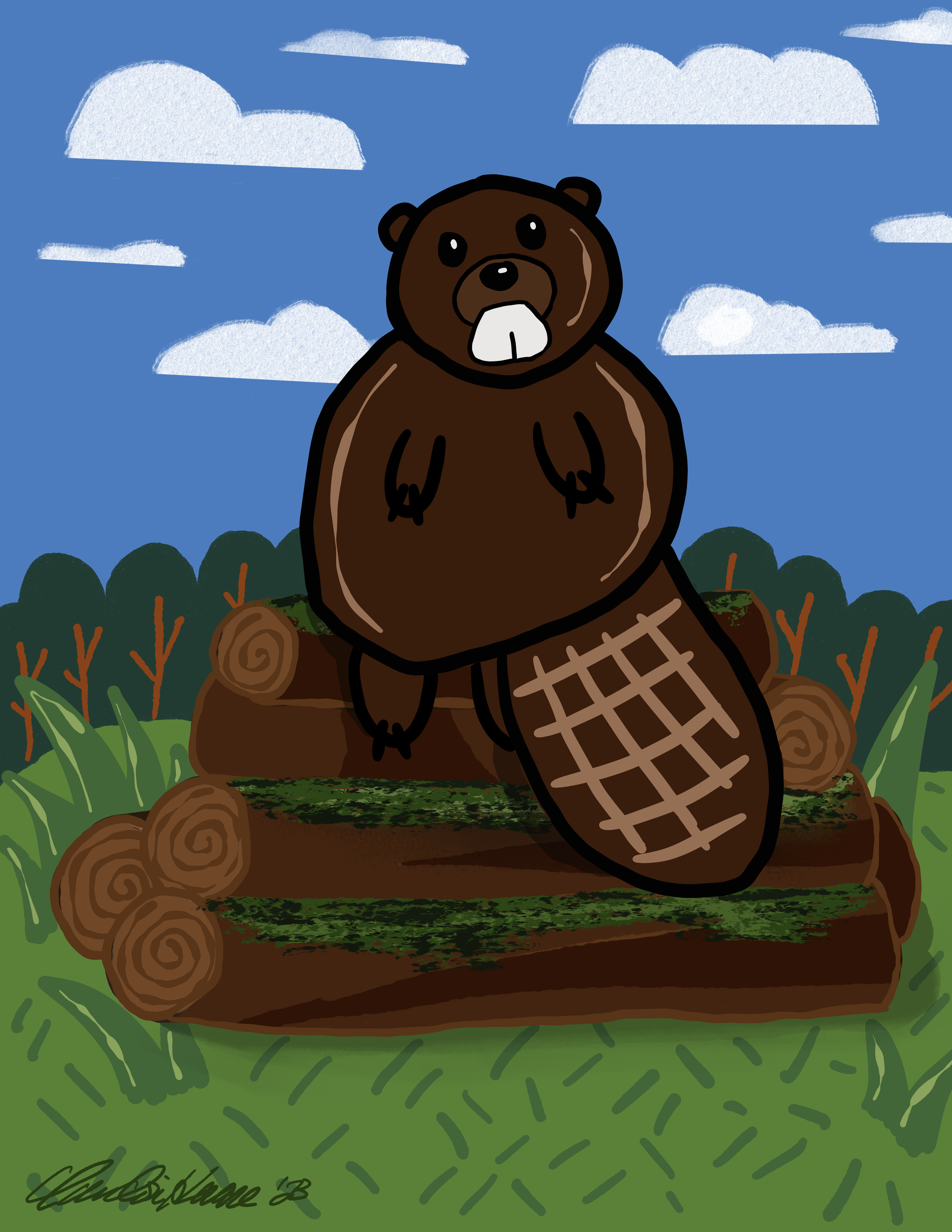 19. Wood