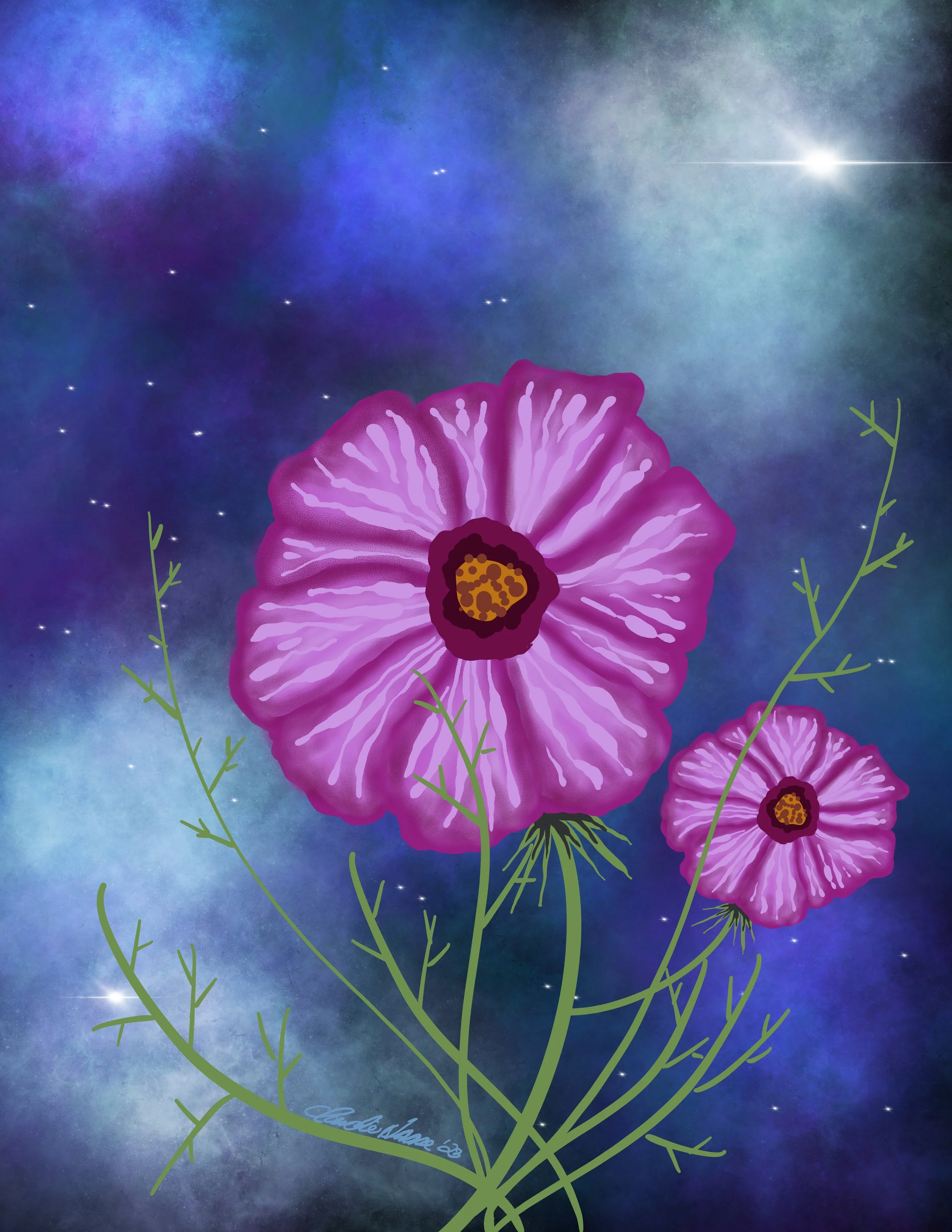 2. Cosmos