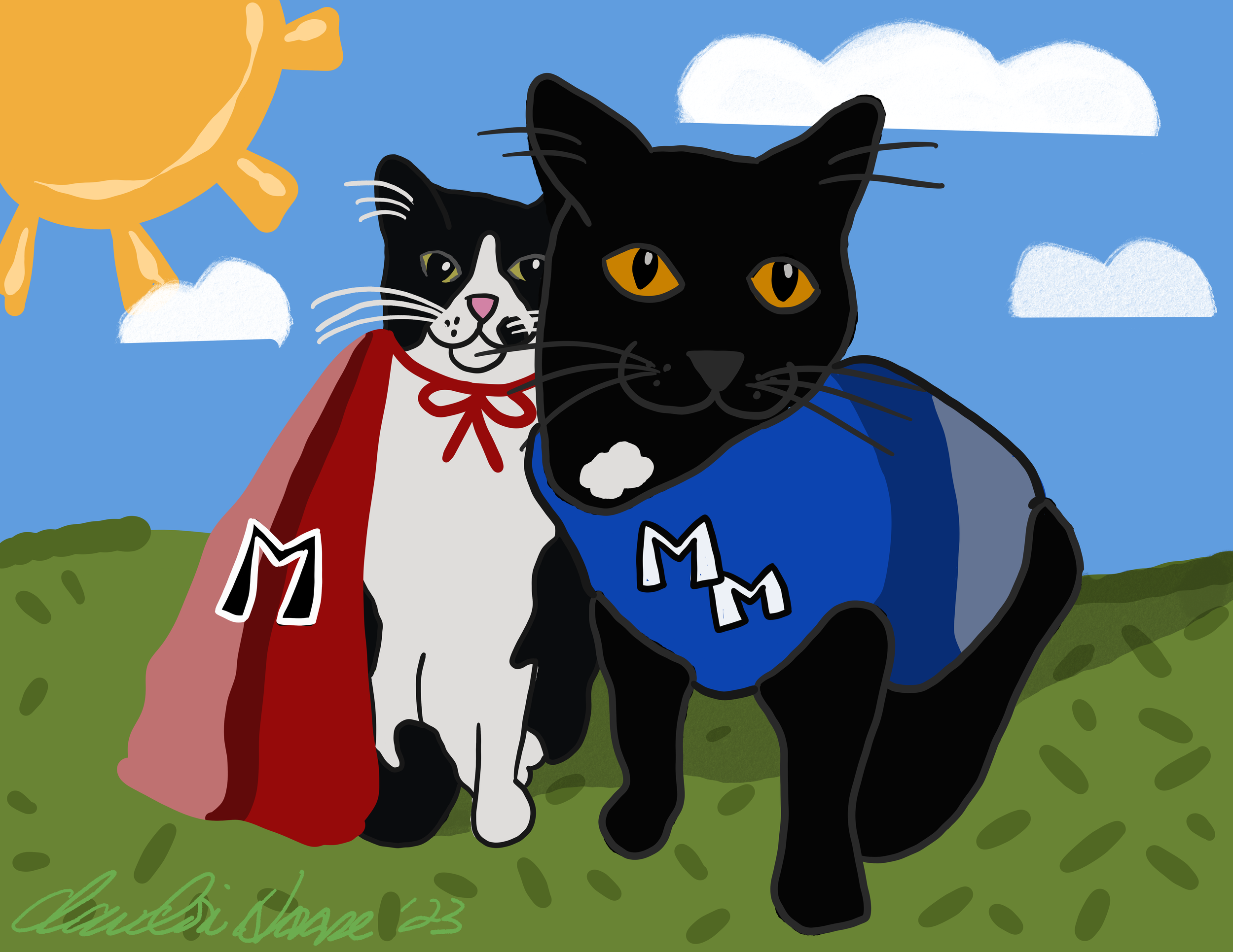 16. Sidekick