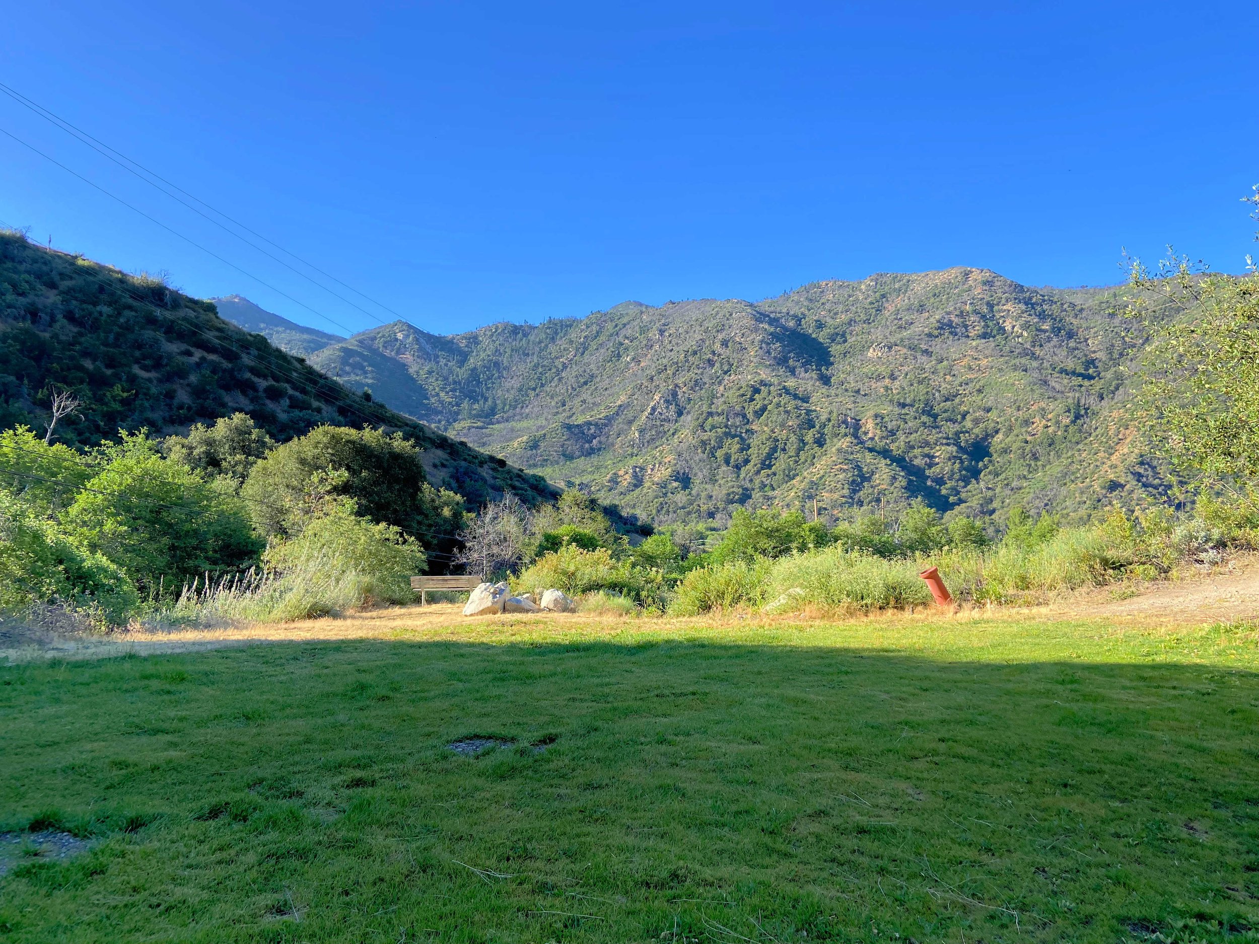 Meadow Views