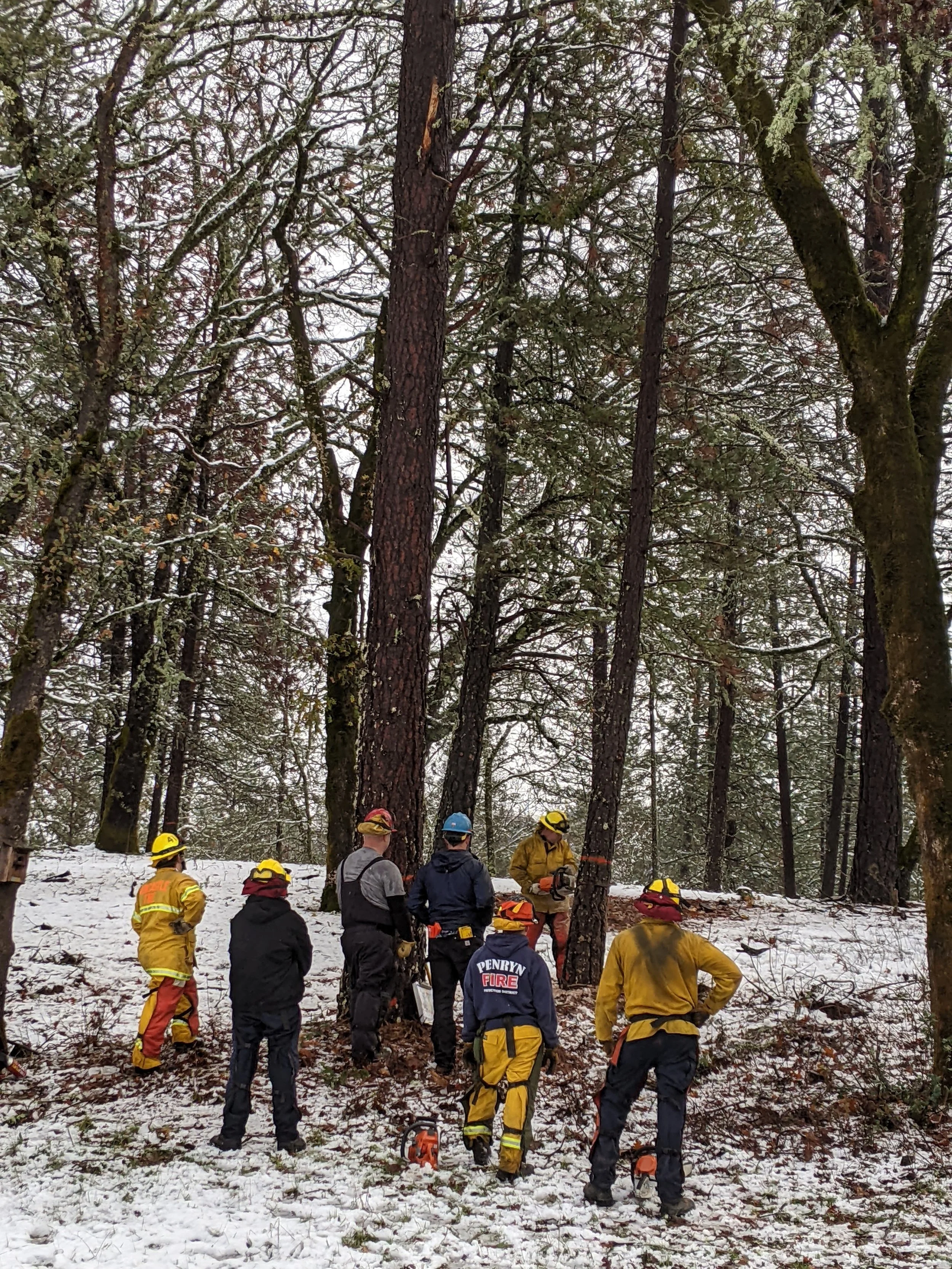 App snow crew.jpg