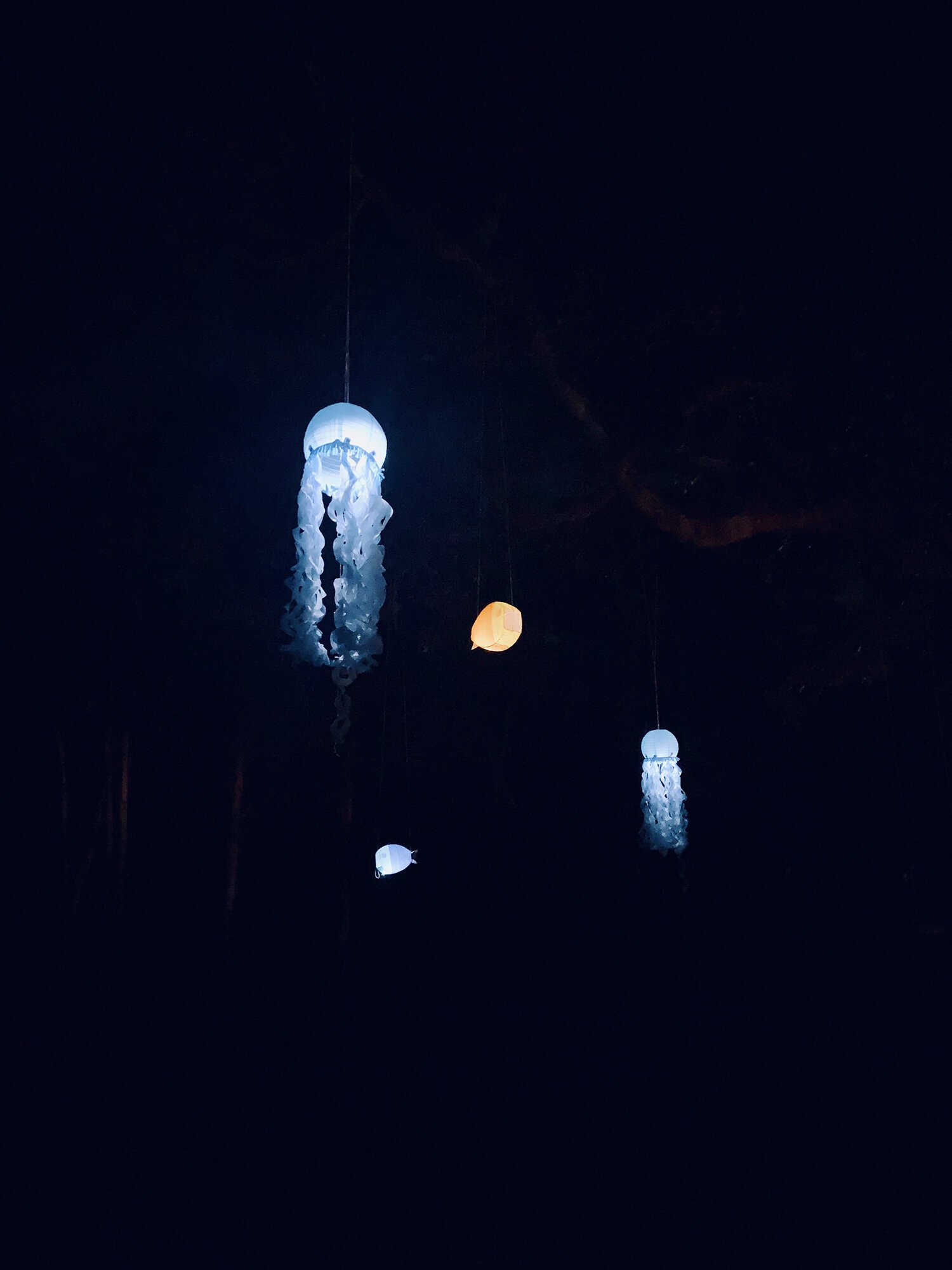CRC illumination jellyfish2.jpeg