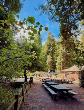 Venue for College Creative Groups