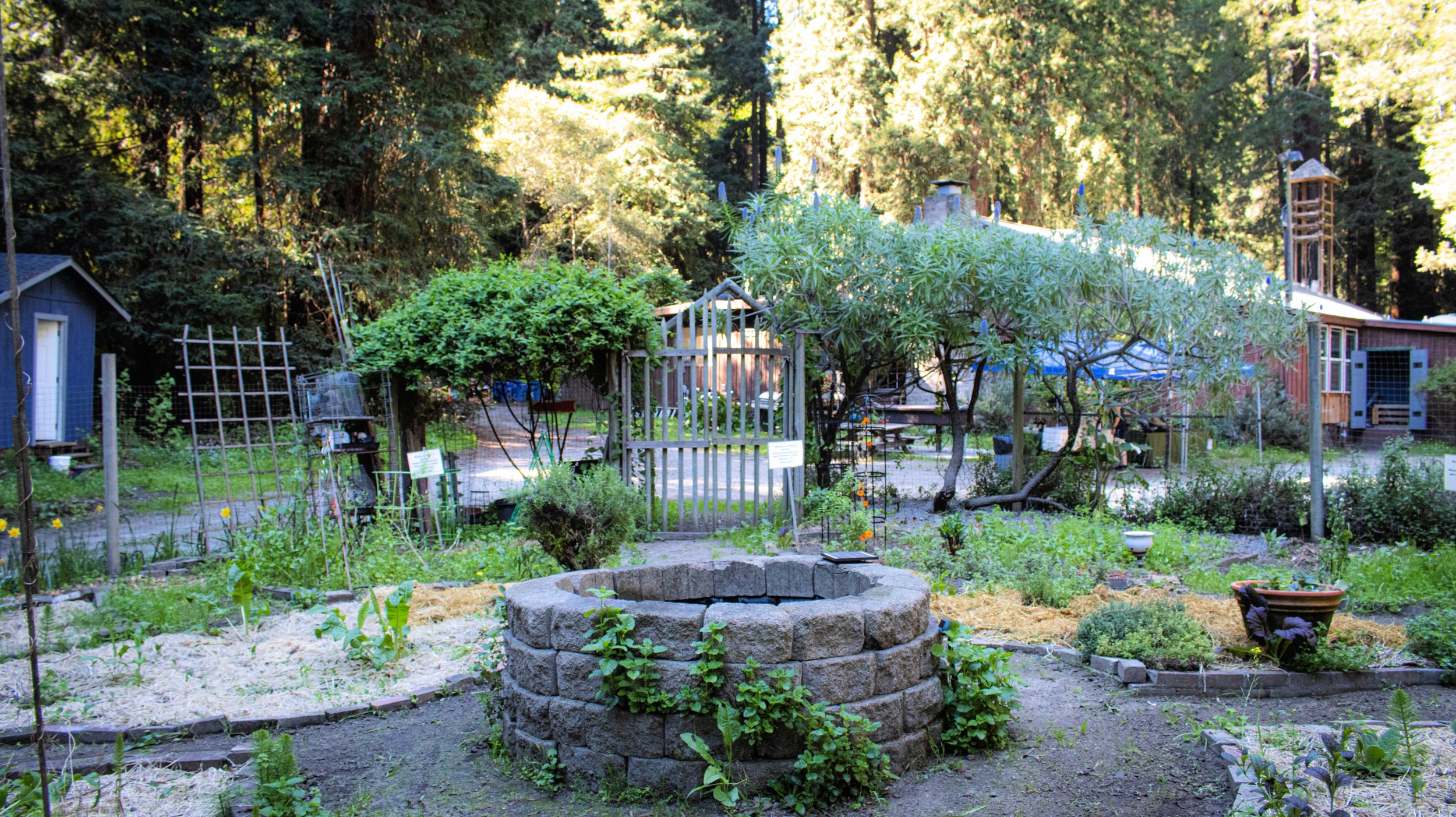 Garden Area