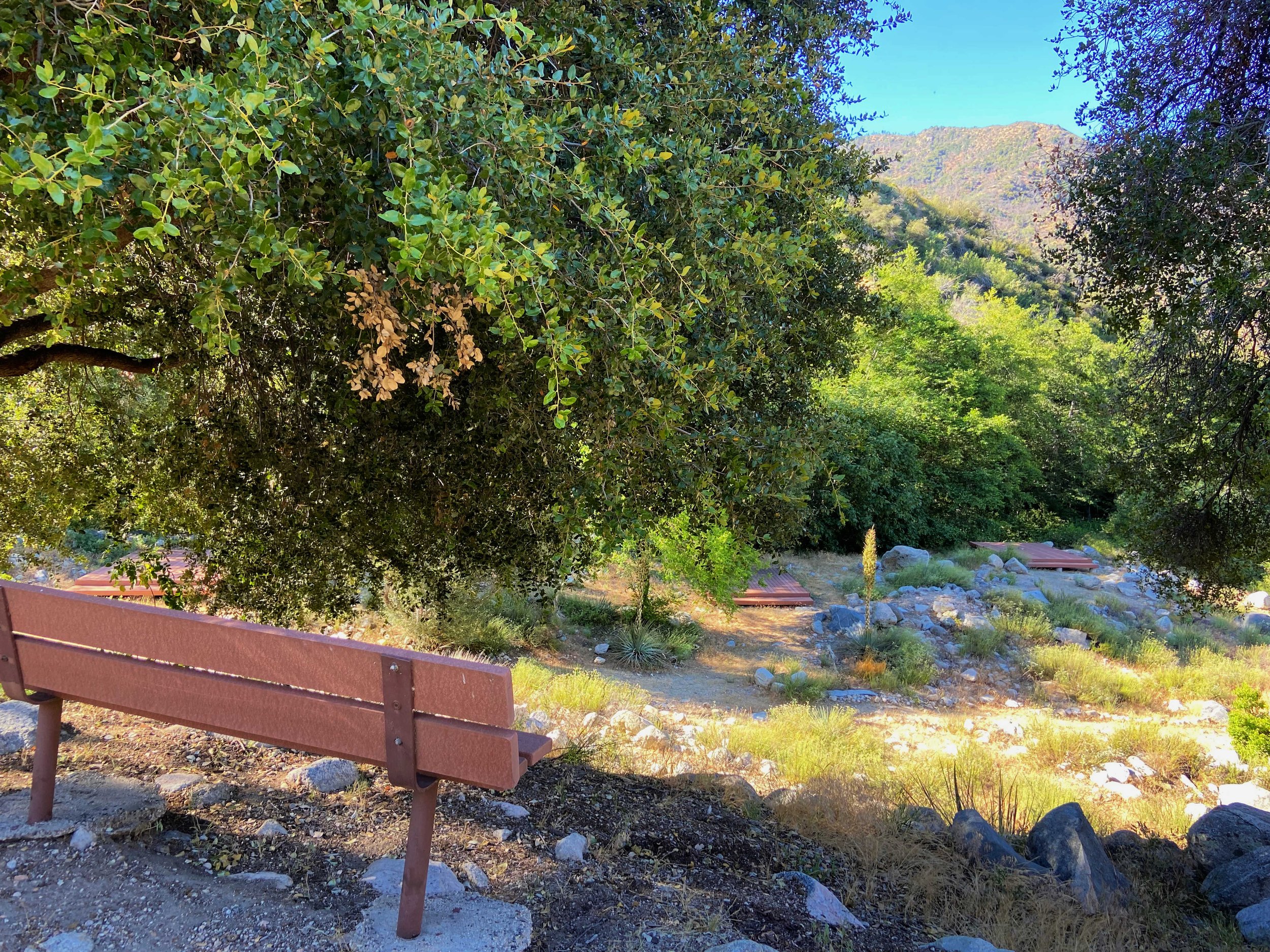 Bench, Tent Pads & Views
