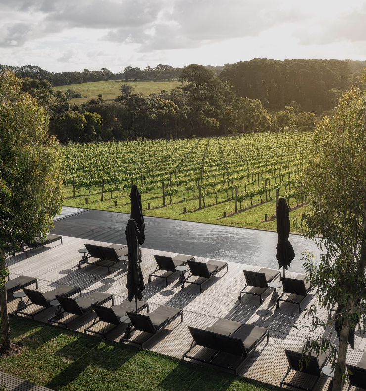 Screen Shot 2023-11-20 at 4.23.36 PM.png