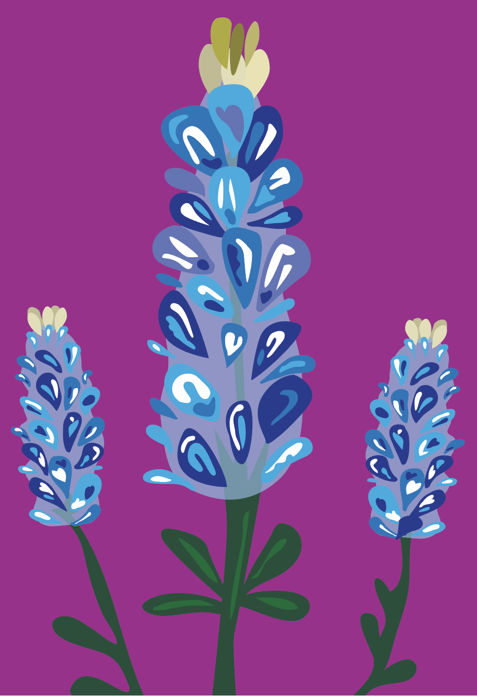 Bluebonnet with Purple Print