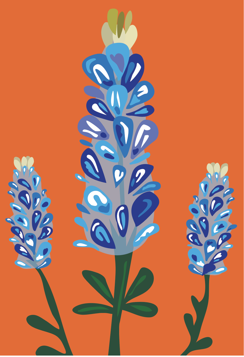 Bluebonnet  on Orange Print
