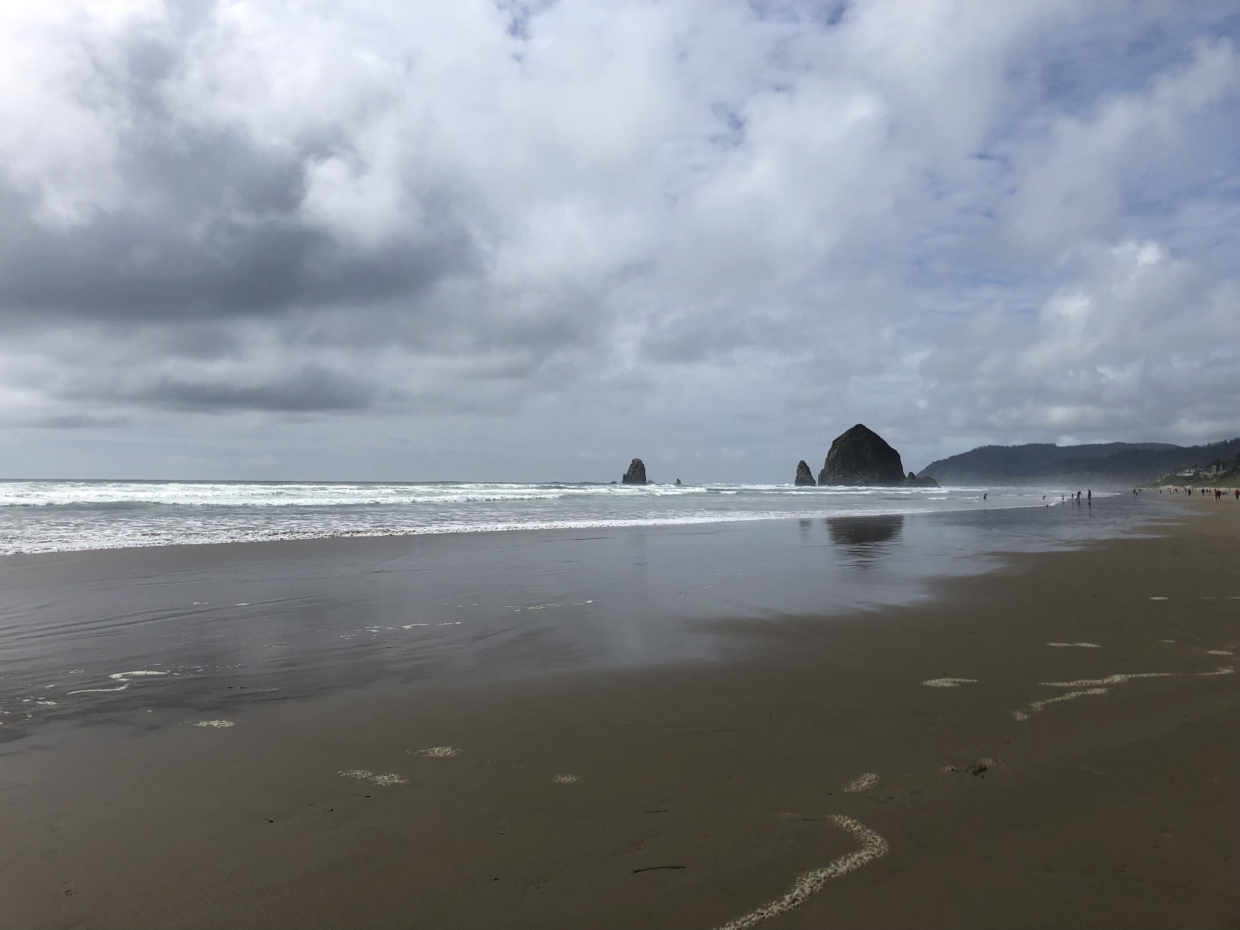 IMG_3948.jpeg