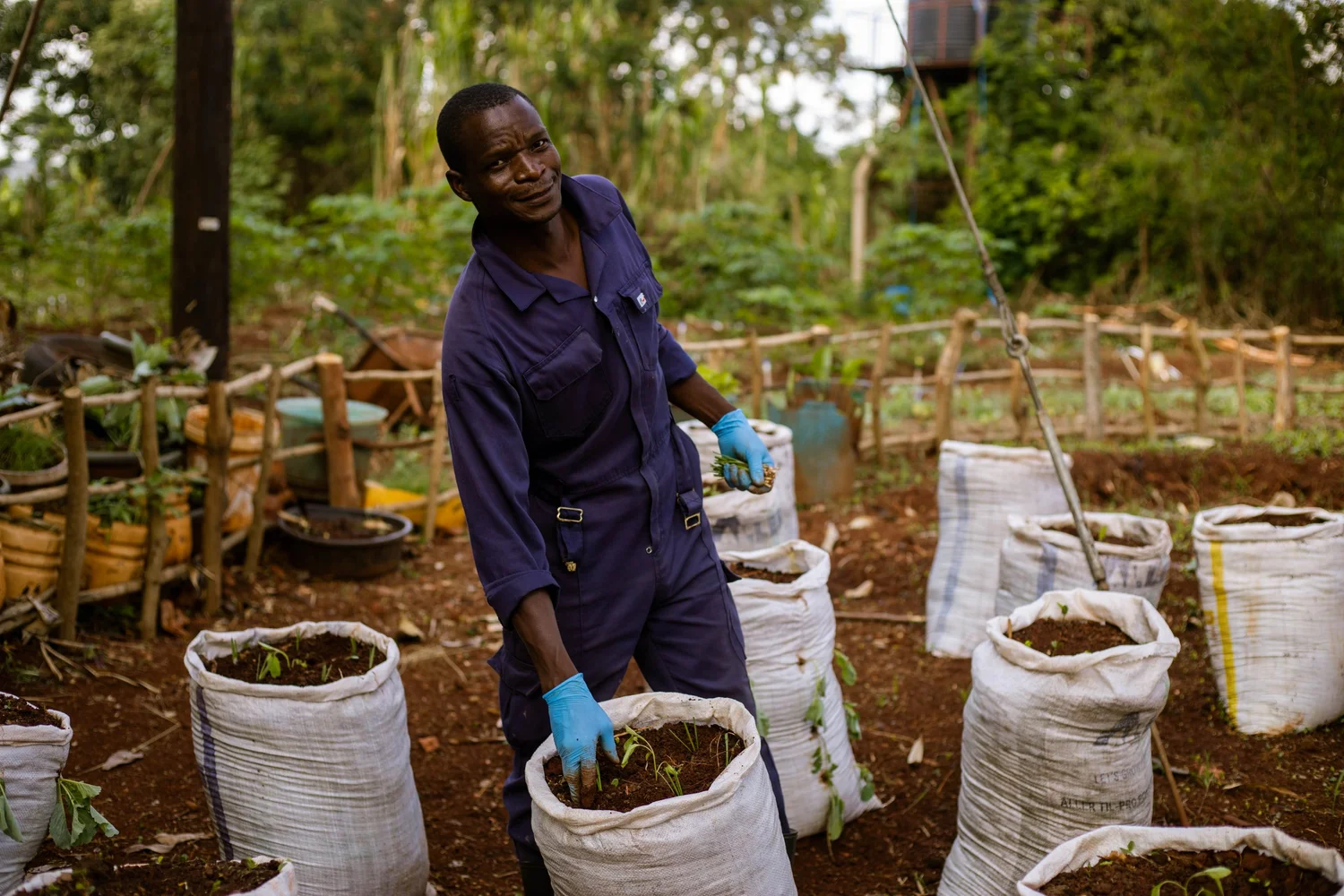 WHAT IS AGRICULTURAL RESEARCH visual data 2