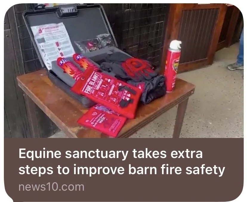 FireHorse Facility Featured on News 10 ABC Following Fatal Saratoga Barn Fire