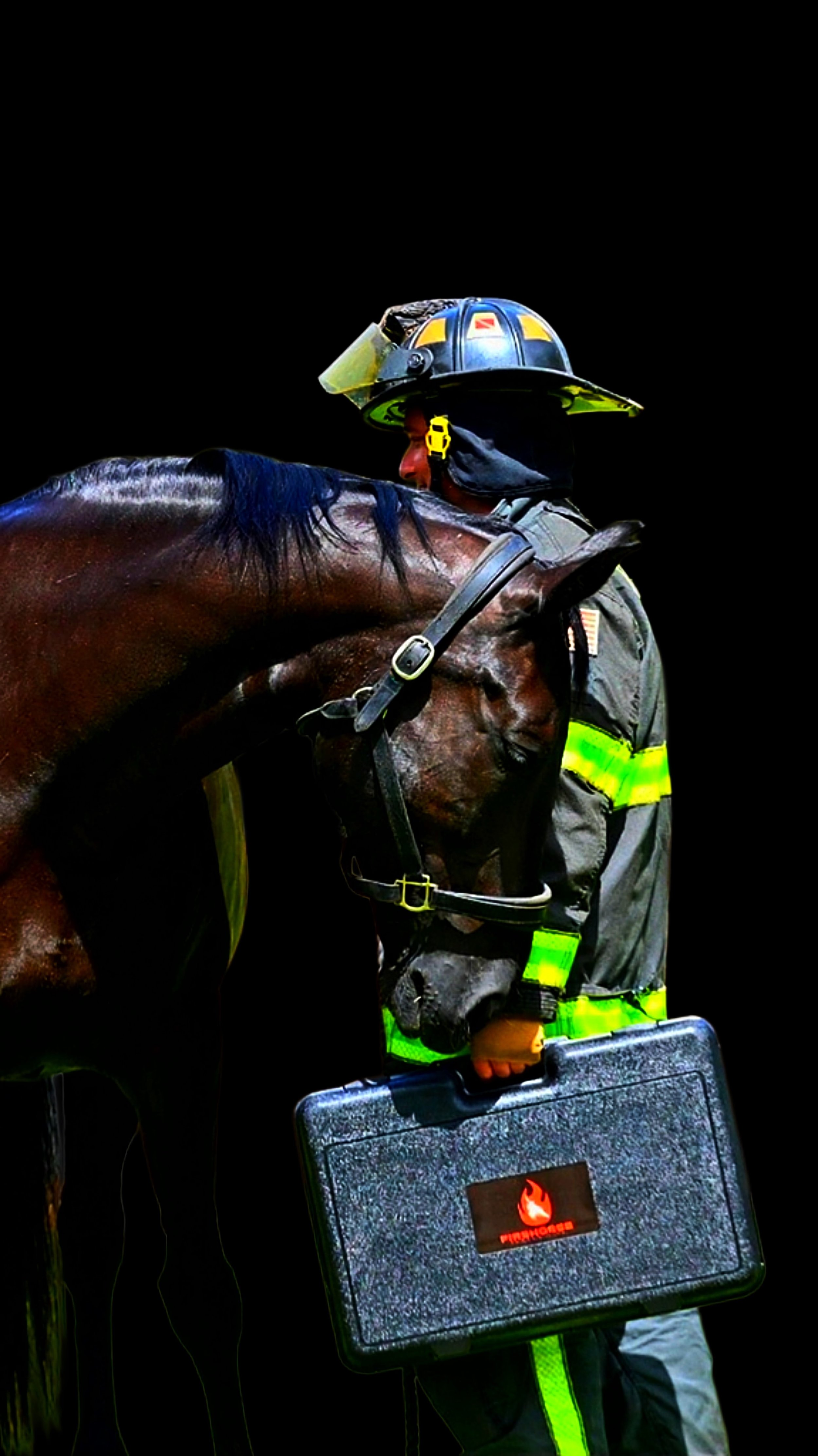 FireHorseMainBrandingImage copy.jpg