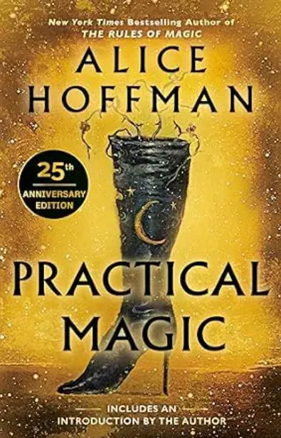 best witchy books witch books magical realism books books about witches feminist fantasy books witch fiction magical realism novels books like Practical Magic atmospheric fantasy books witchy book recommendations books fiction books about witches