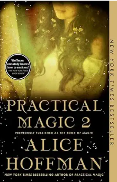 best witchy books witch books magical realism books books about witches feminist fantasy books witch fiction magical realism novels books like Practical Magic atmospheric fantasy books witchy book recommendations books fiction books about witches