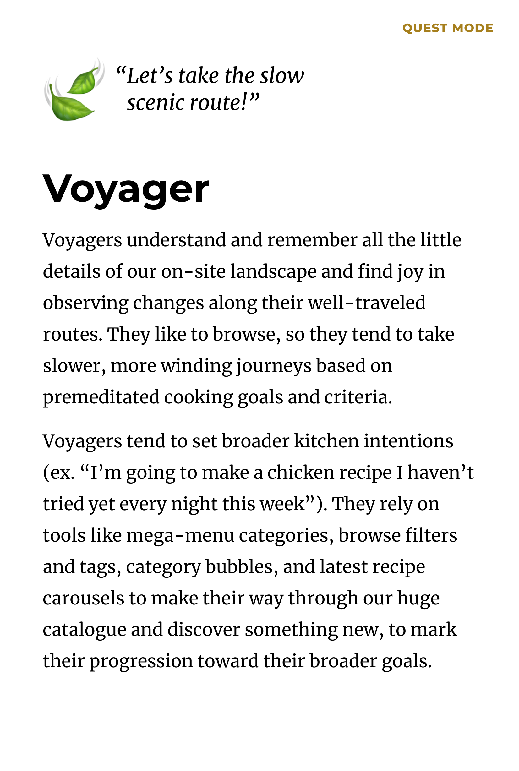 v.voyager.png