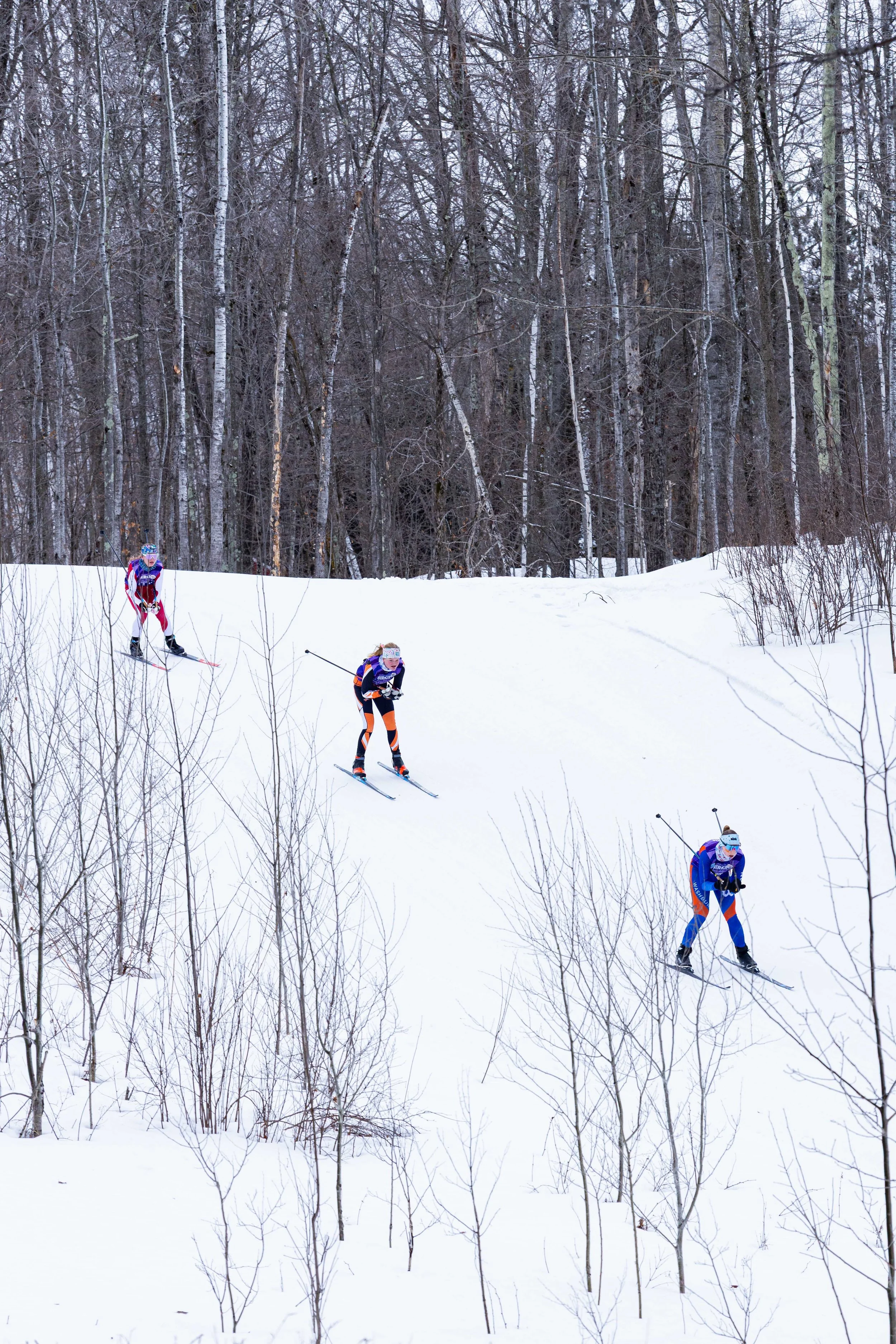 Ski_Race0950.jpg
